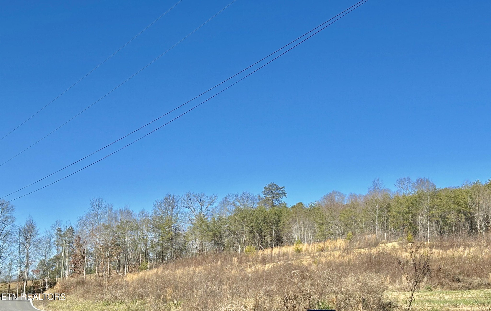524 Wiggins Rd Property Photo 1