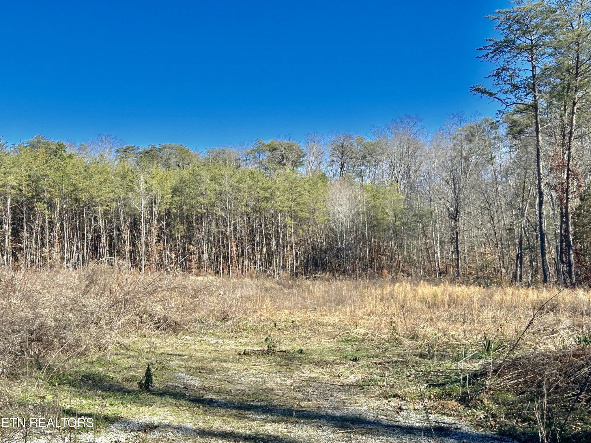 504 Wiggins Rd Property Photo 1