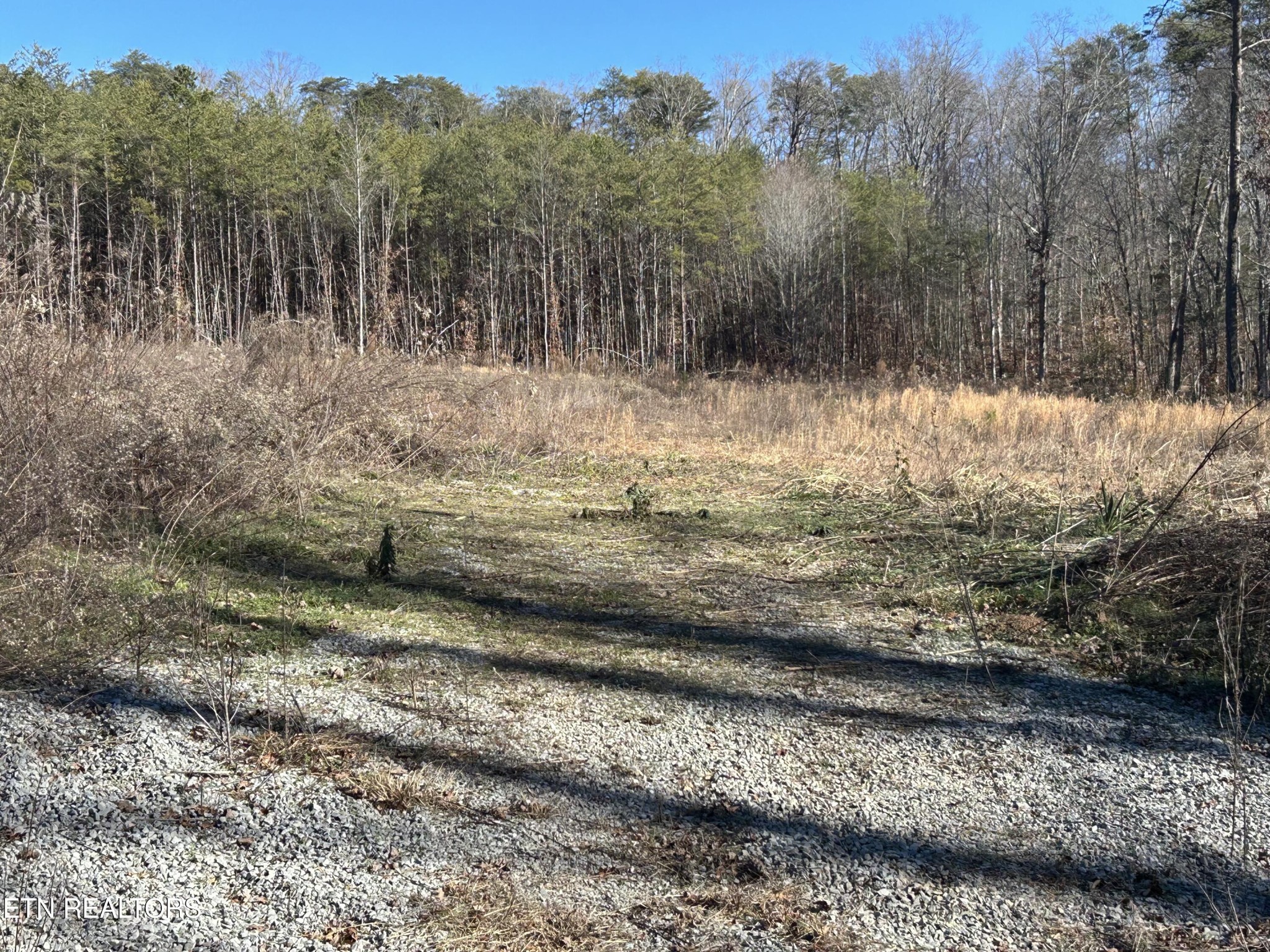 504 Wiggins Rd Property Photo 3