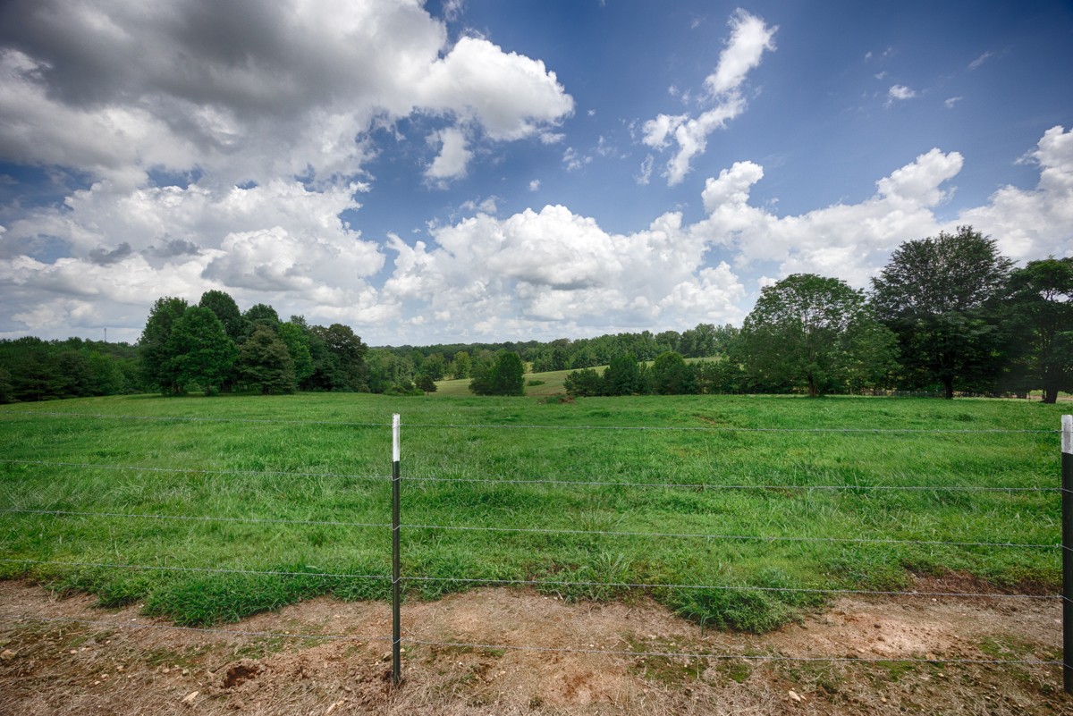 1501 Puncheon Branch Rd Property Photo 42