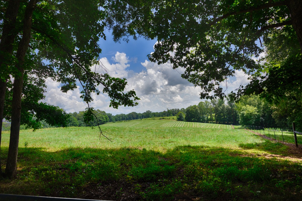 1501 Puncheon Branch Rd Property Photo 43