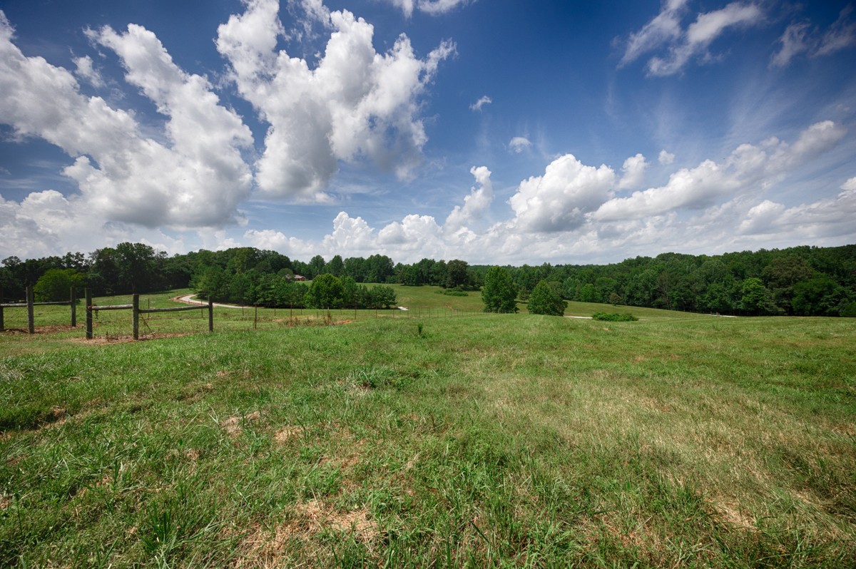 1501 Puncheon Branch Rd Property Photo 45