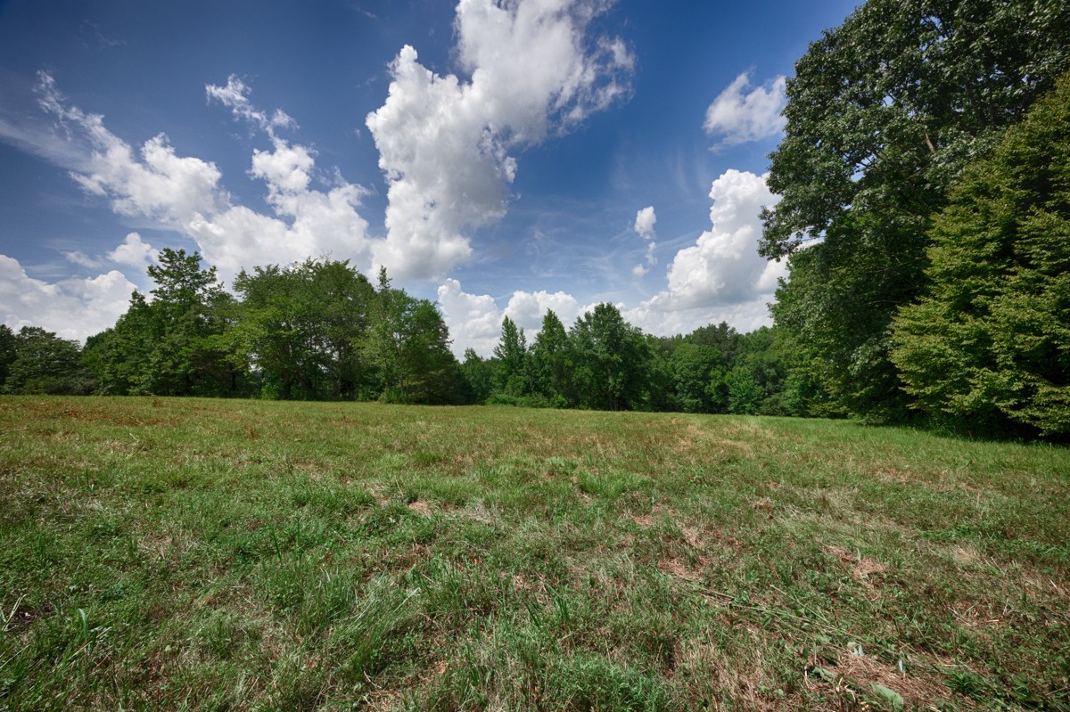 1501 Puncheon Branch Rd Property Photo 47
