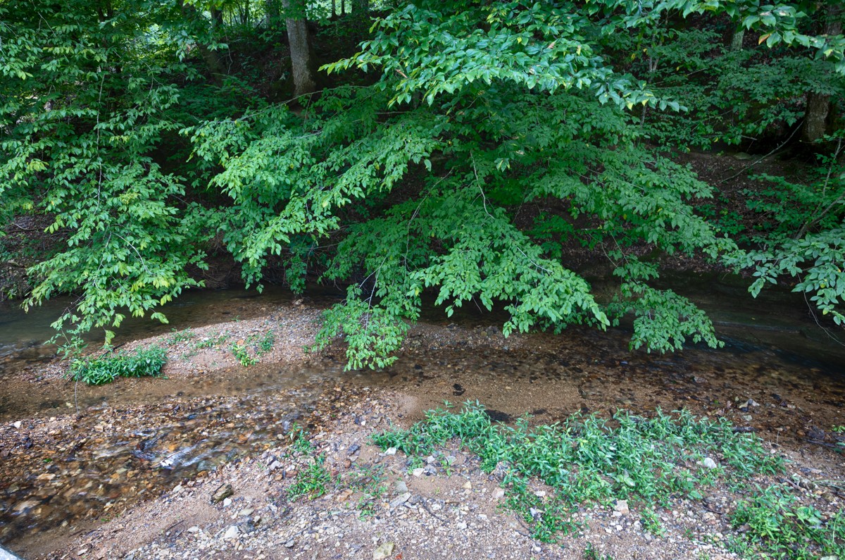 1501 Puncheon Branch Rd Property Photo 54