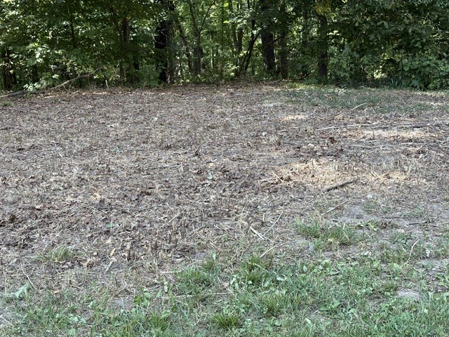 0 Scenic Drive Property Photo 1