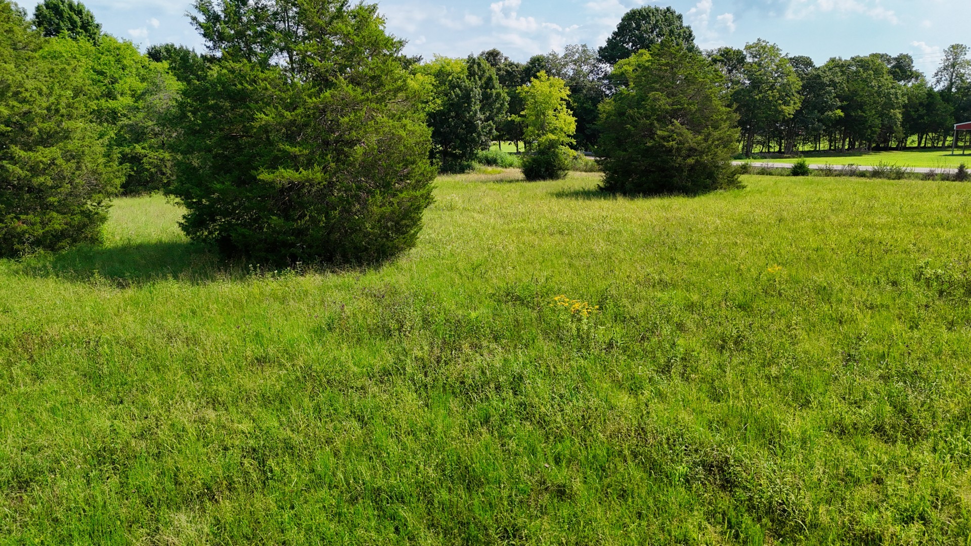6 Cedar Grove Rd Property Photo 56