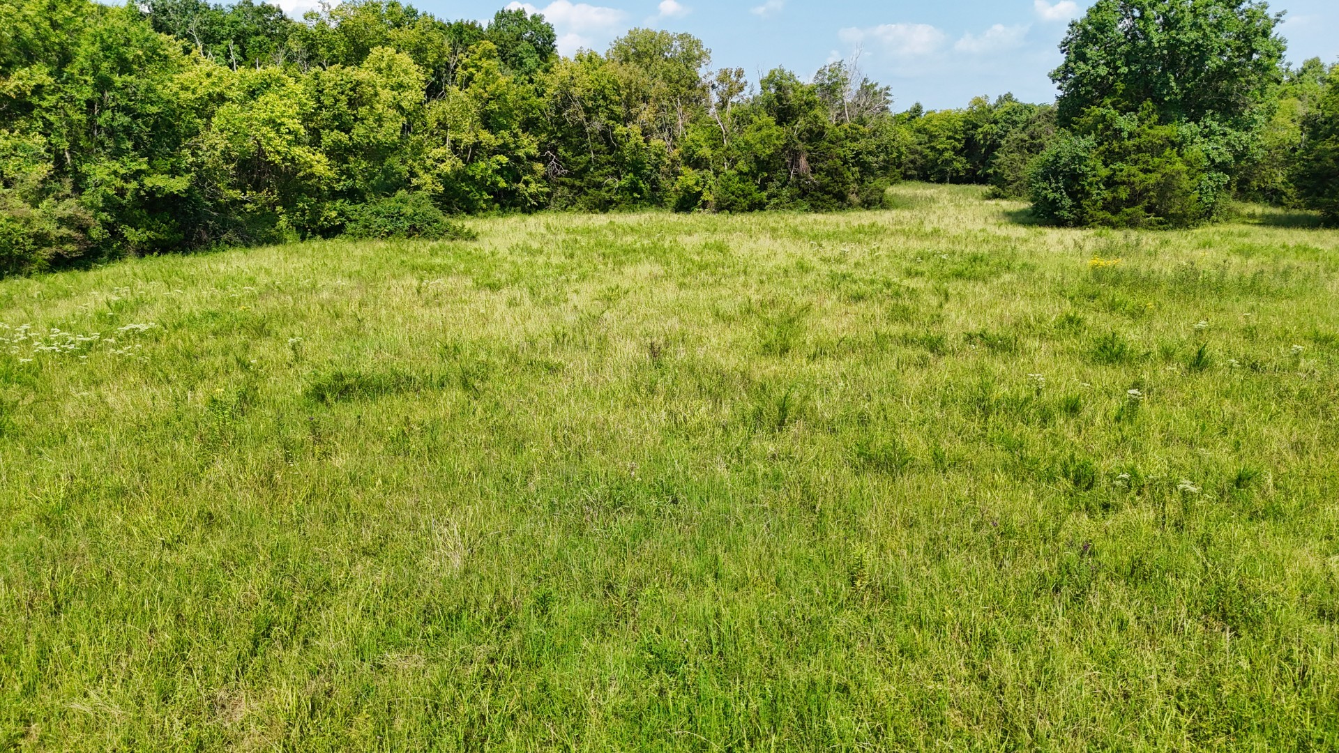 6 Cedar Grove Rd Property Photo 57