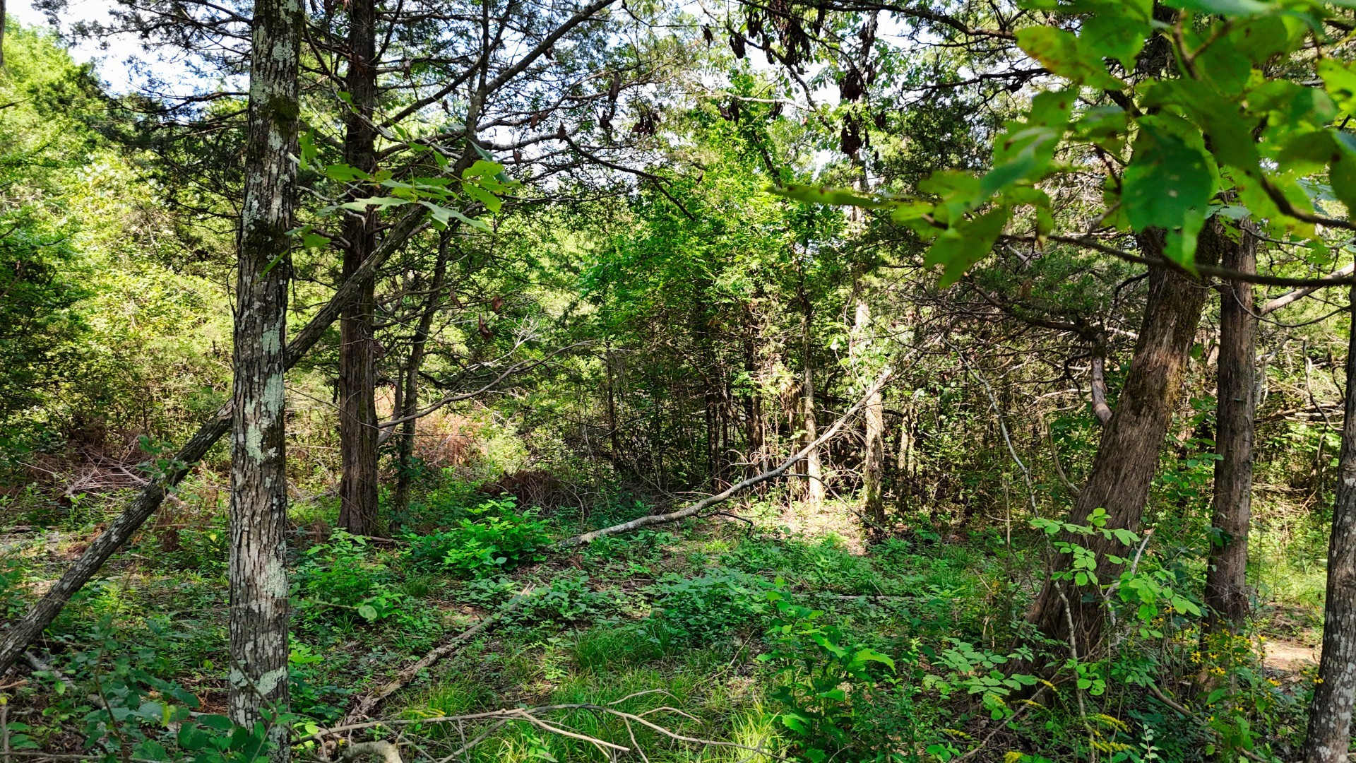 6 Cedar Grove Rd Property Photo 65