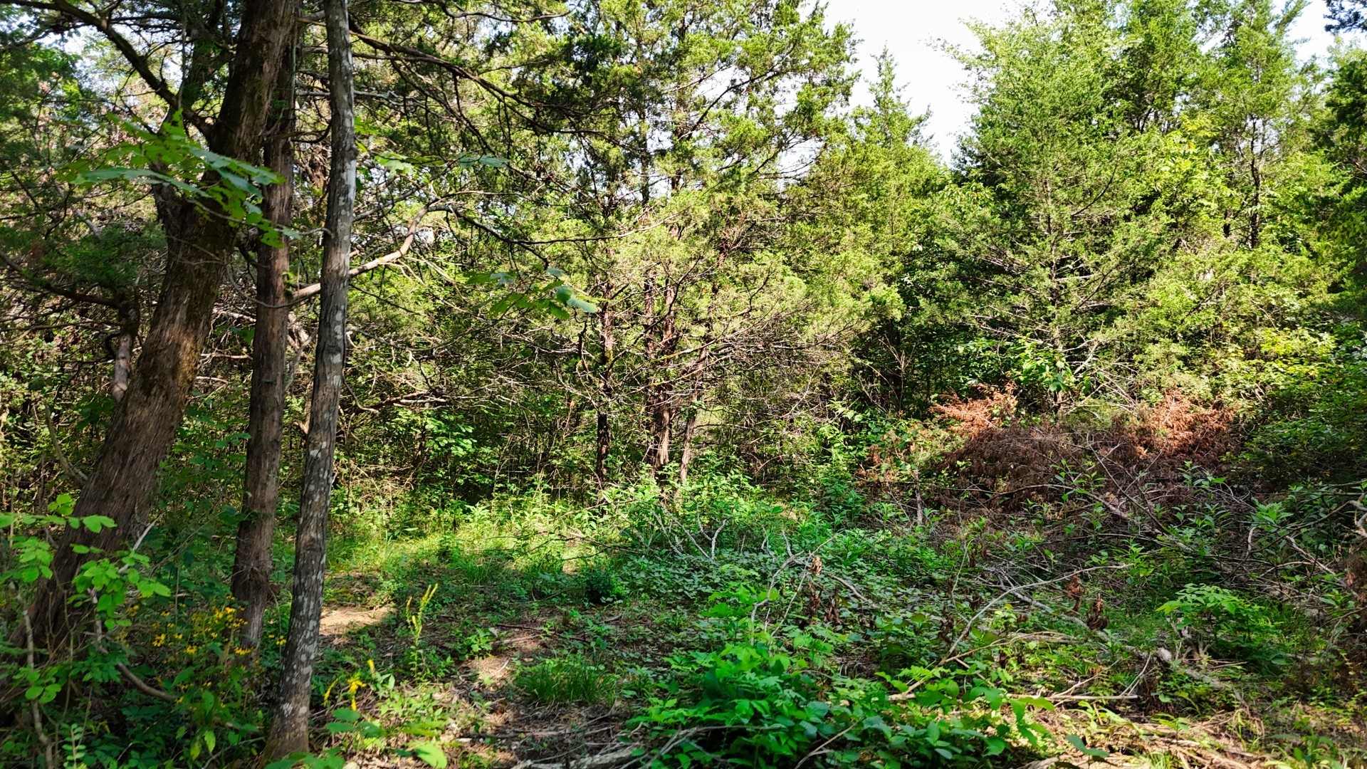 6 Cedar Grove Rd Property Photo 66
