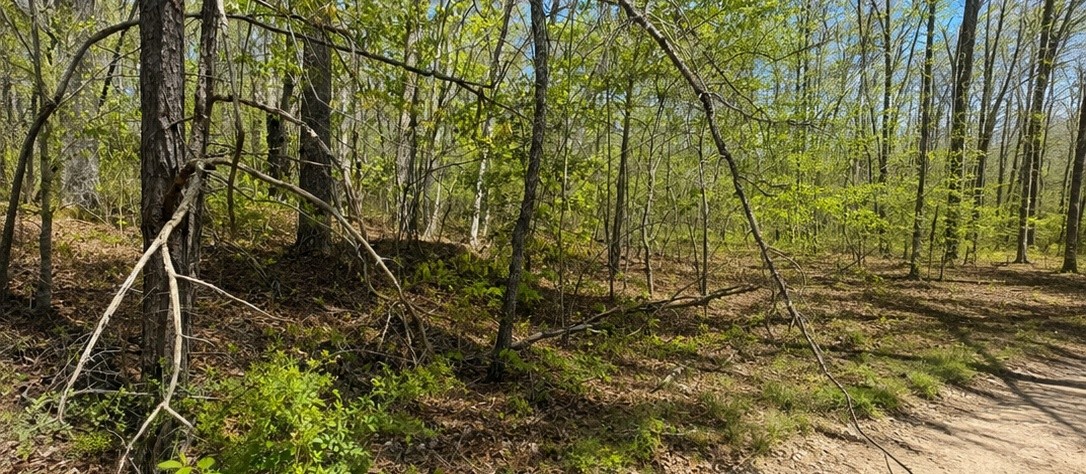 0 Doe Creek Lake Dr