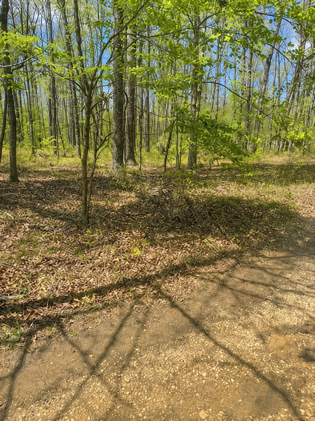 0 Doe Creek Lake Dr Property Photo 1