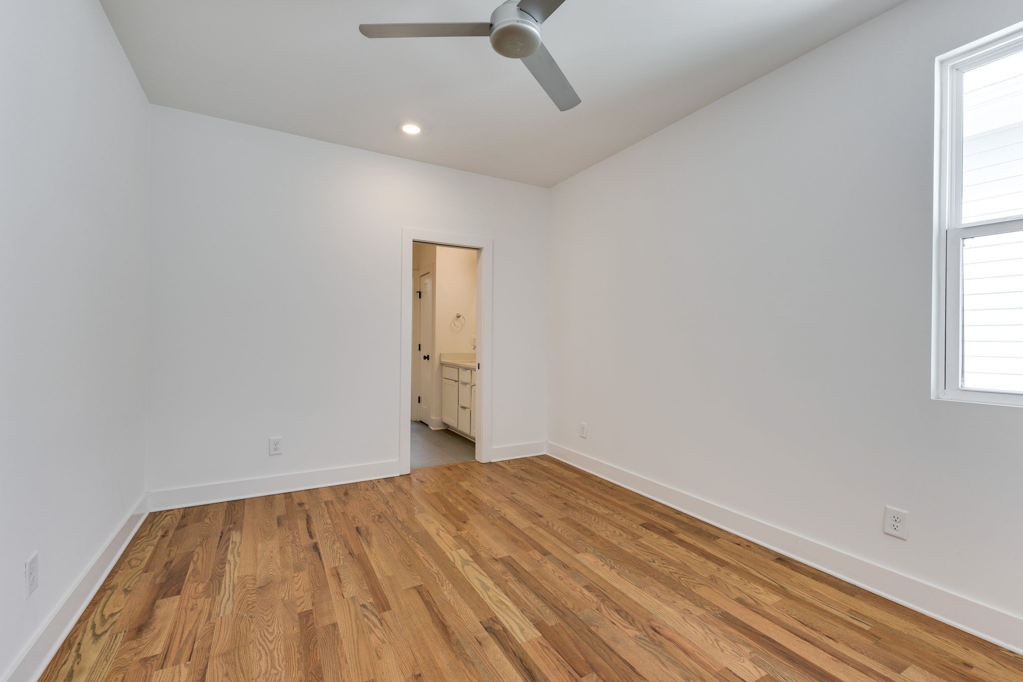 527b Wedgewood Ave Property Photo 23