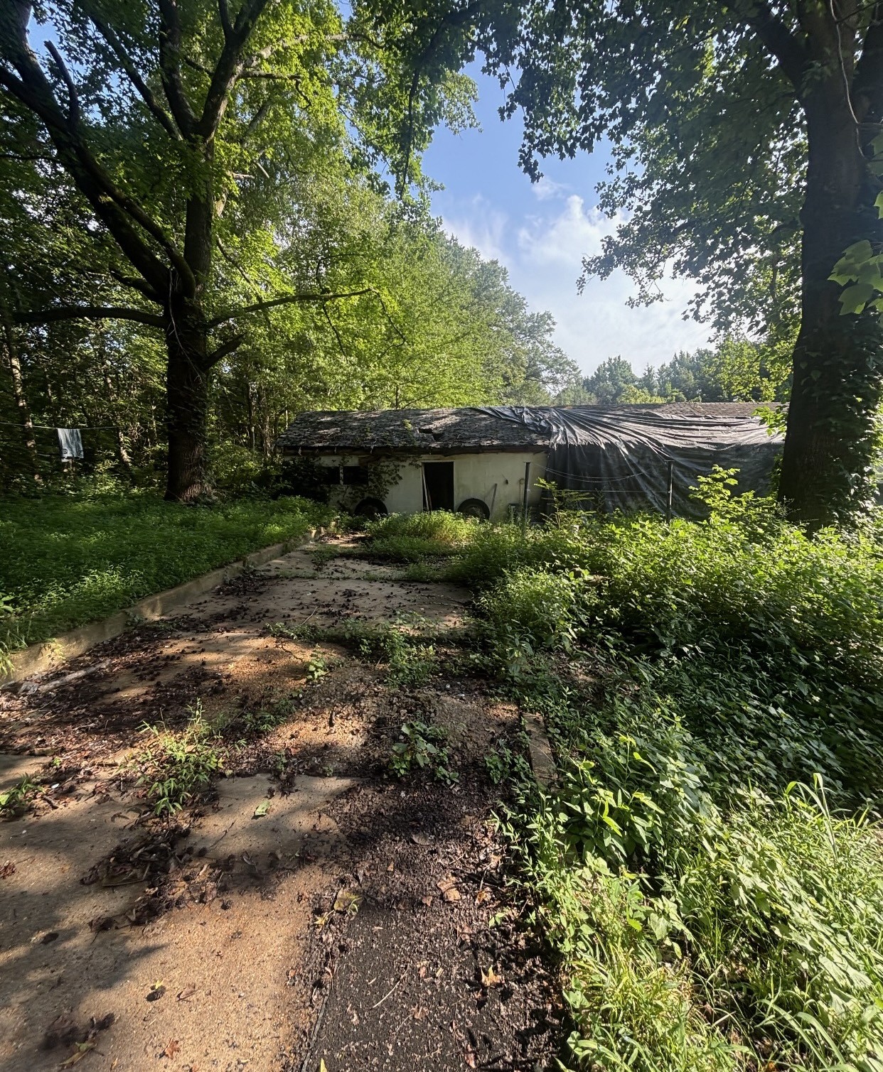 3044 Egypt Central Rd Property Photo 15