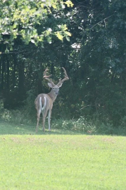 4709 Medalist Cir Property Photo 57