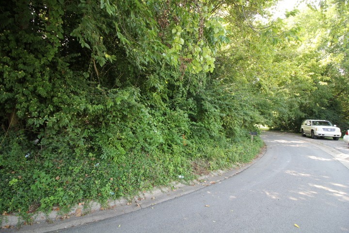 0 9th Property Photo 5
