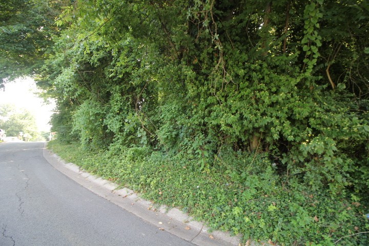 0 9th Property Photo 6