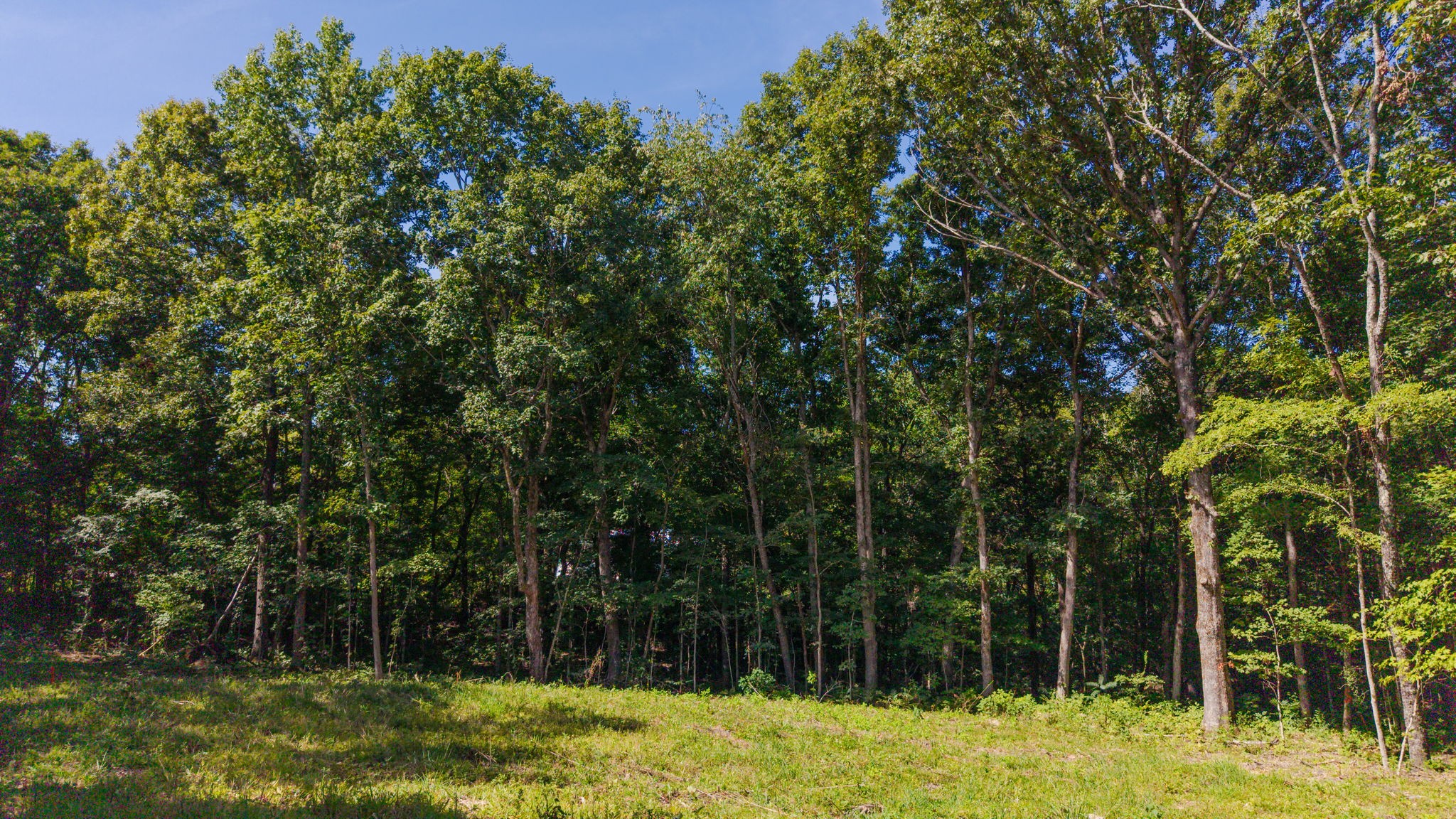 4538 Old Metal Rd Property Photo 1