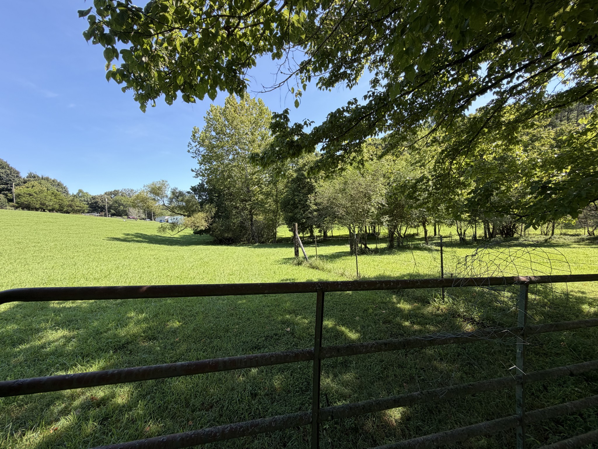 0 Big Creek Road Property Photo 1