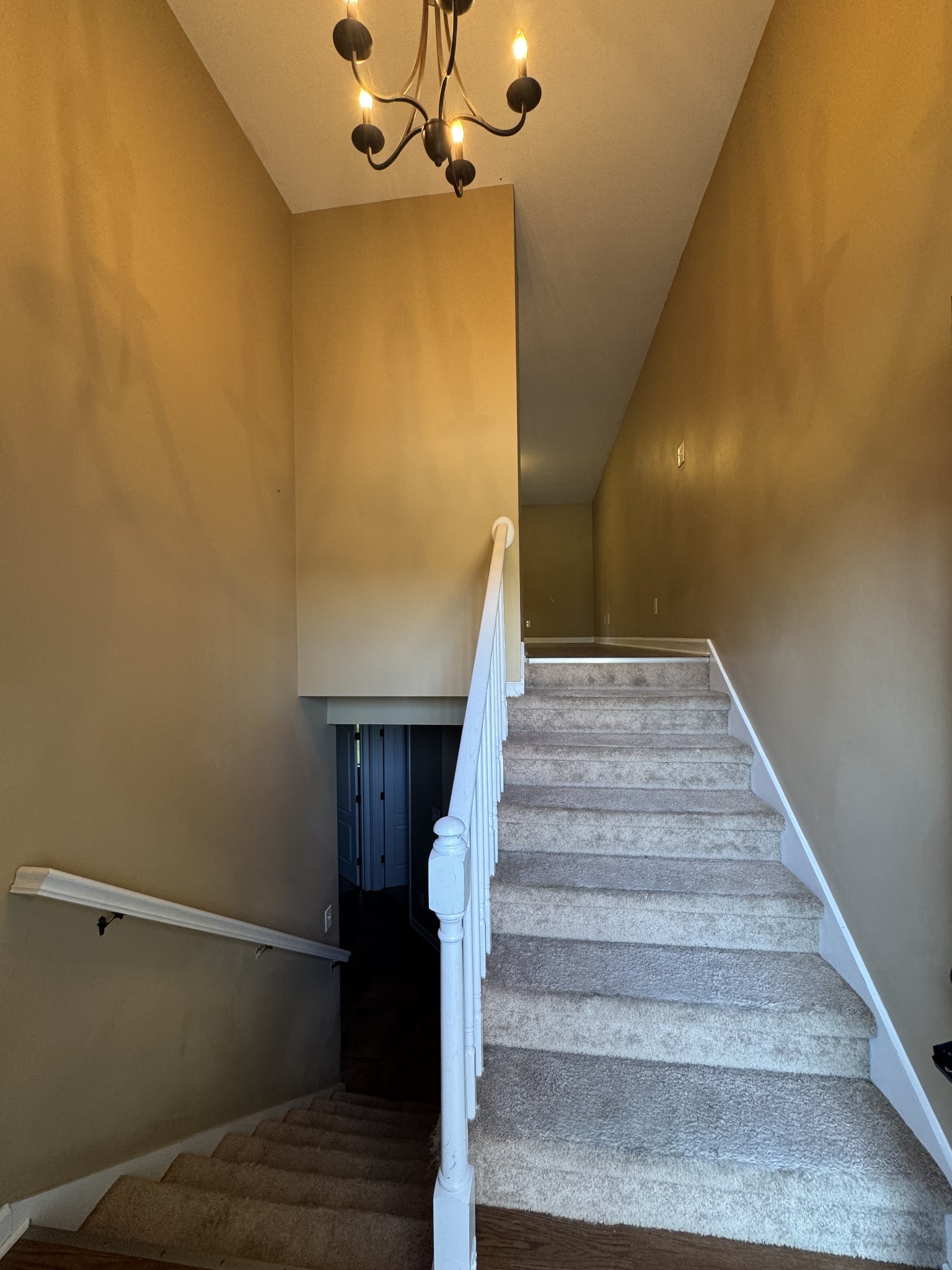 1727 Thistlewood Dr Property Photo 4