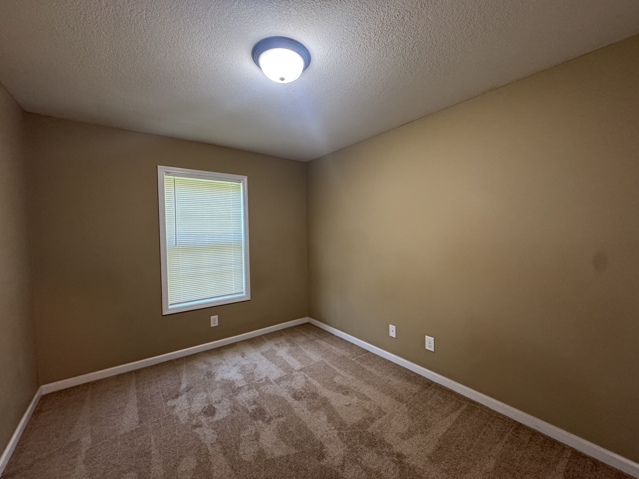1727 Thistlewood Dr Property Photo 14