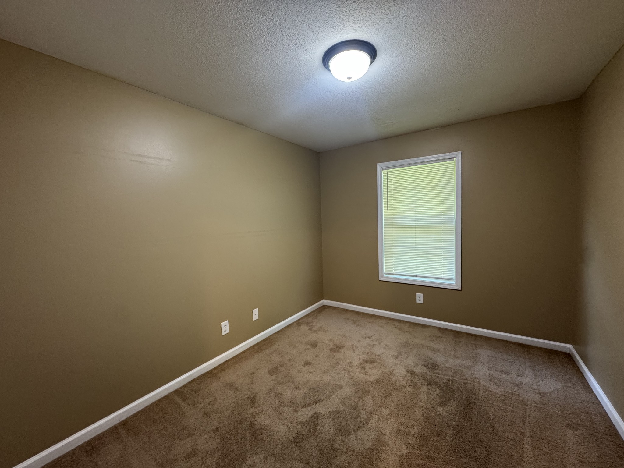 1727 Thistlewood Dr Property Photo 17