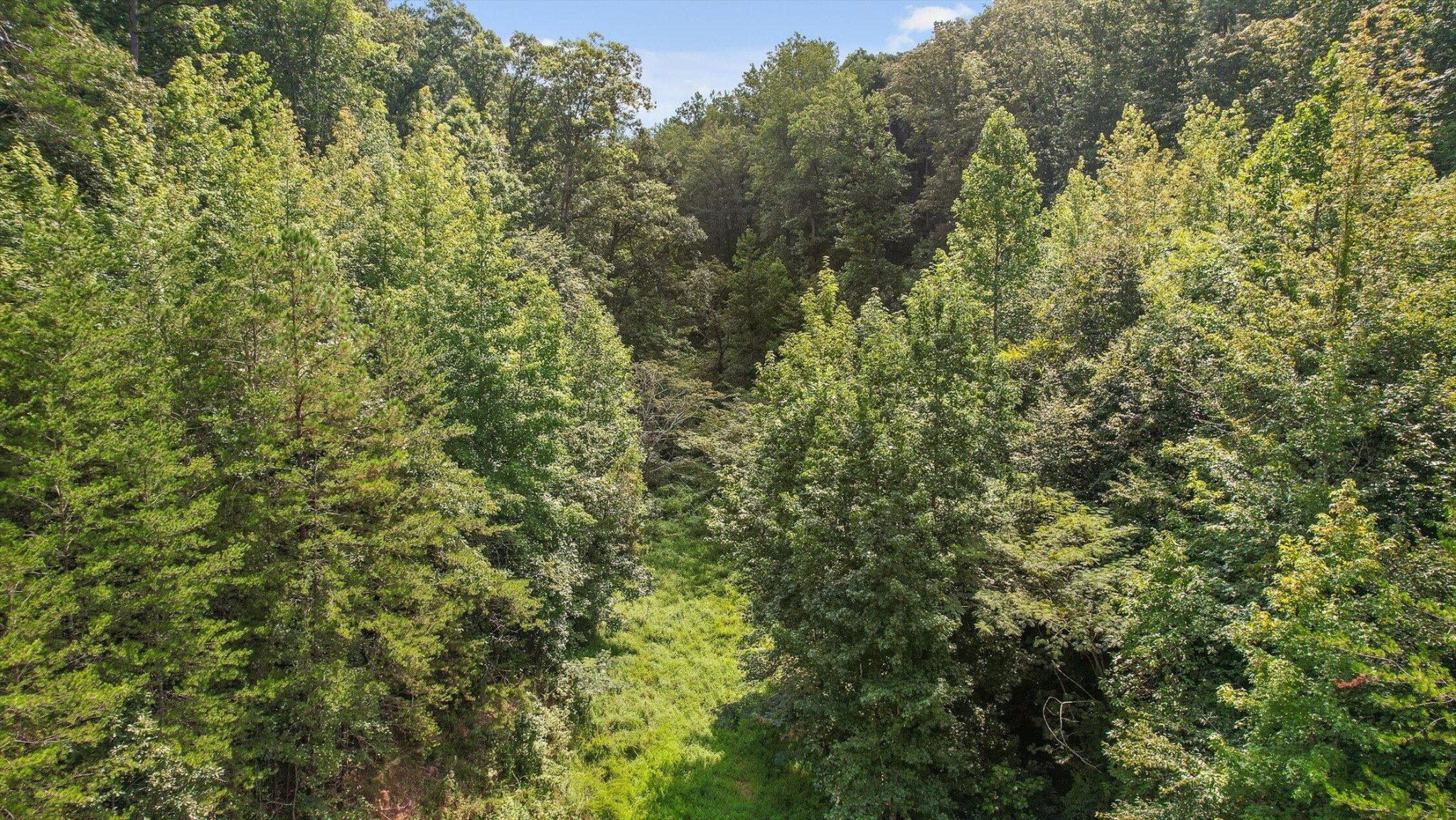 6180 Slygo Road Property Photo 7