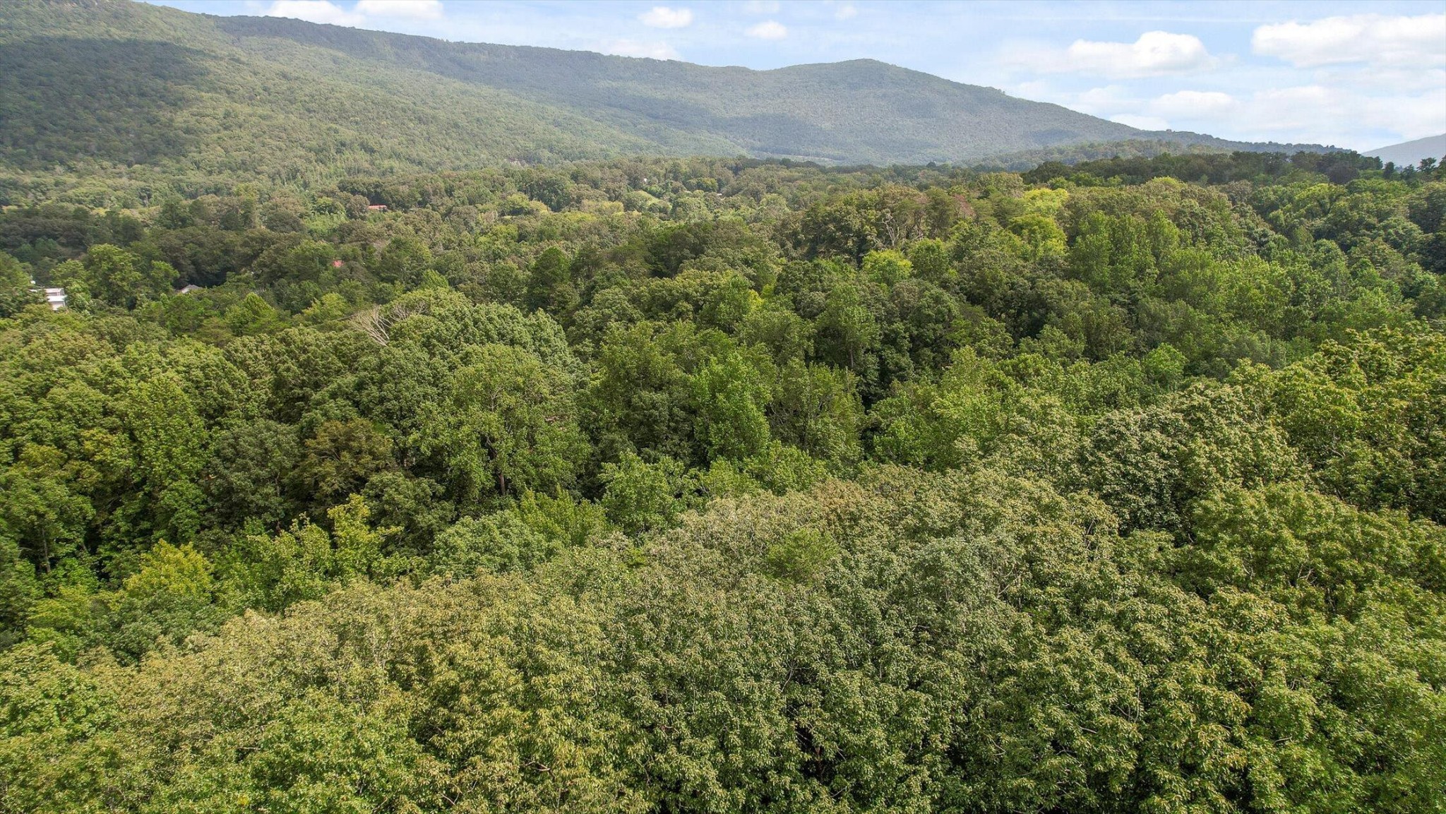 6180 Slygo Road Property Photo 9