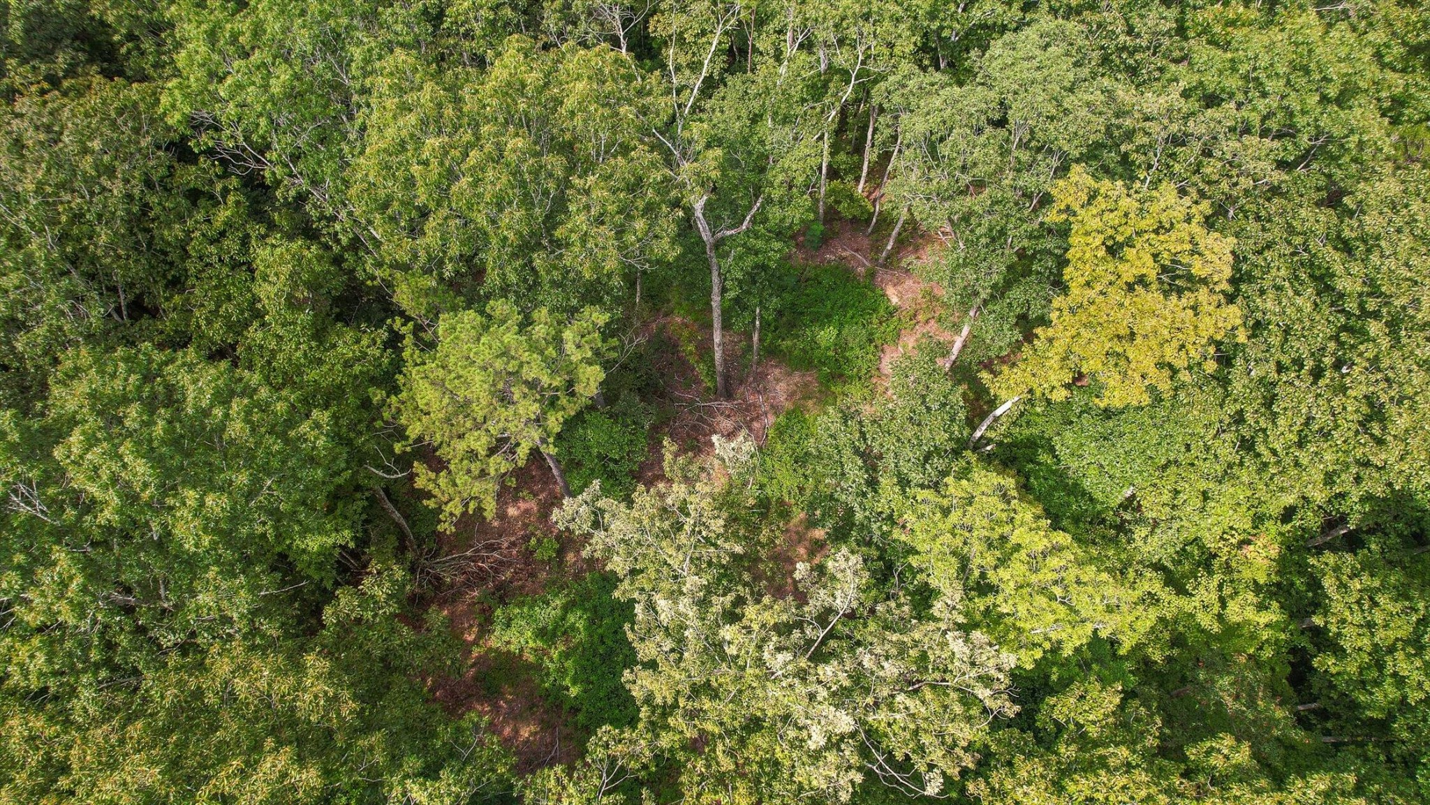 6180 Slygo Road Property Photo 11