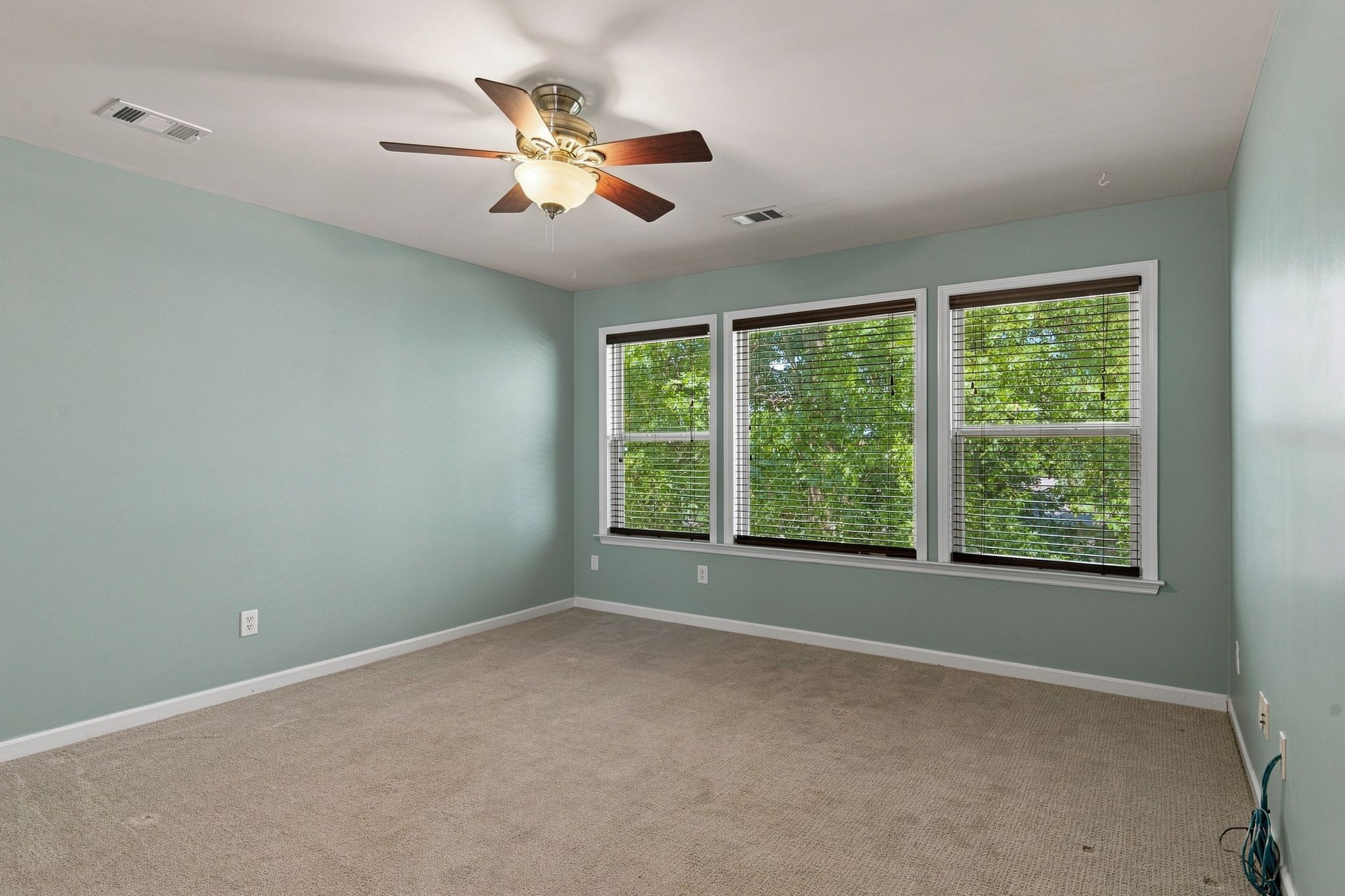 3208 Woodspring Ct Property Photo 11