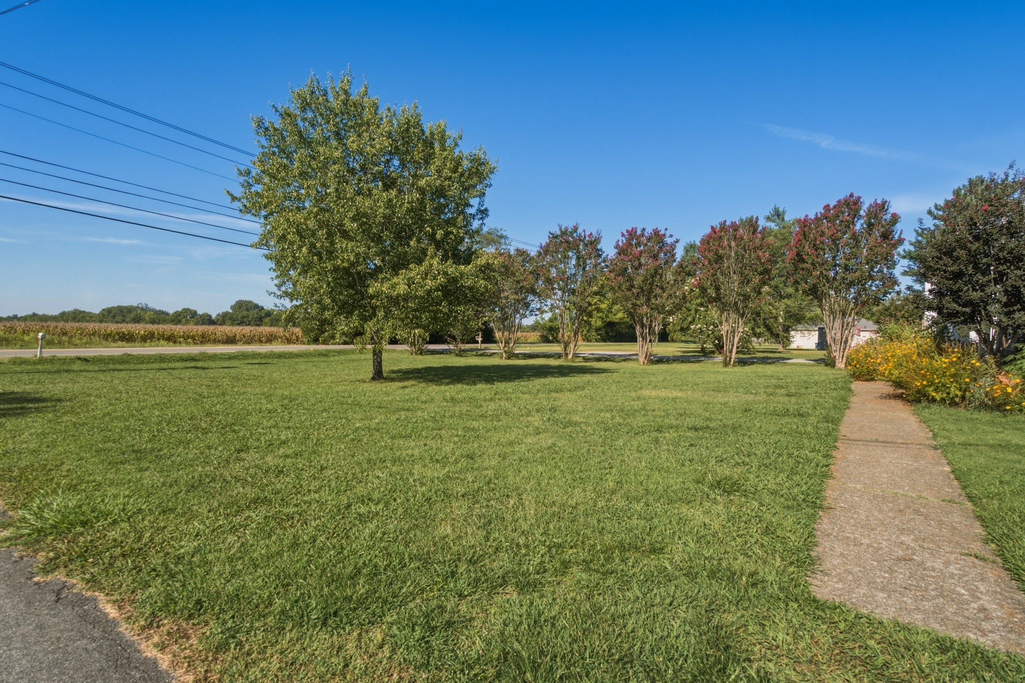 4982 Burnt Knob Rd Property Photo 4