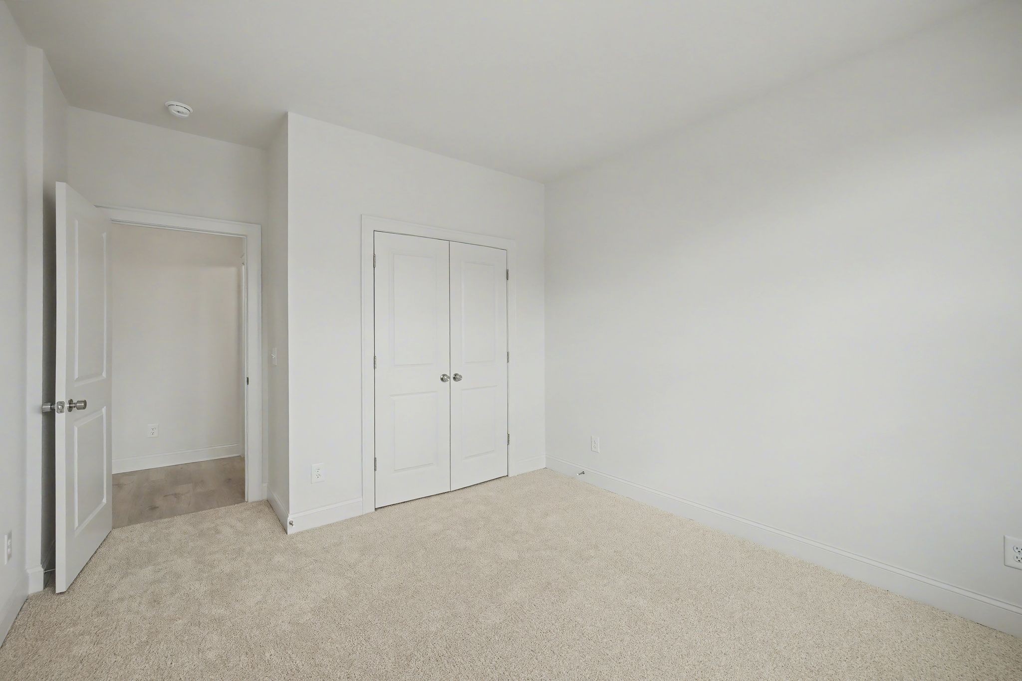3223 Hopetown Way Property Photo 13