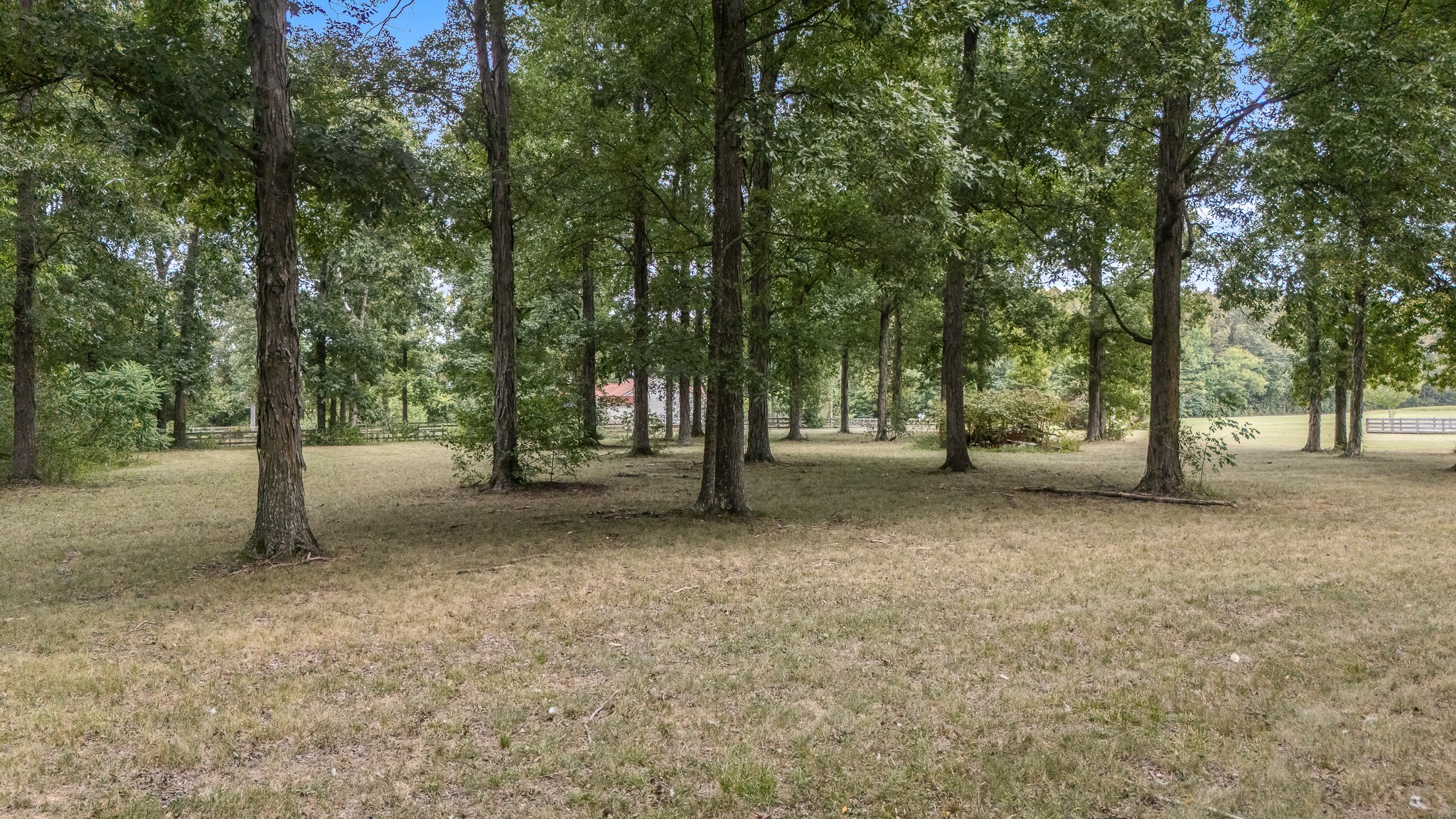 223 Rich Rd Property Photo 69