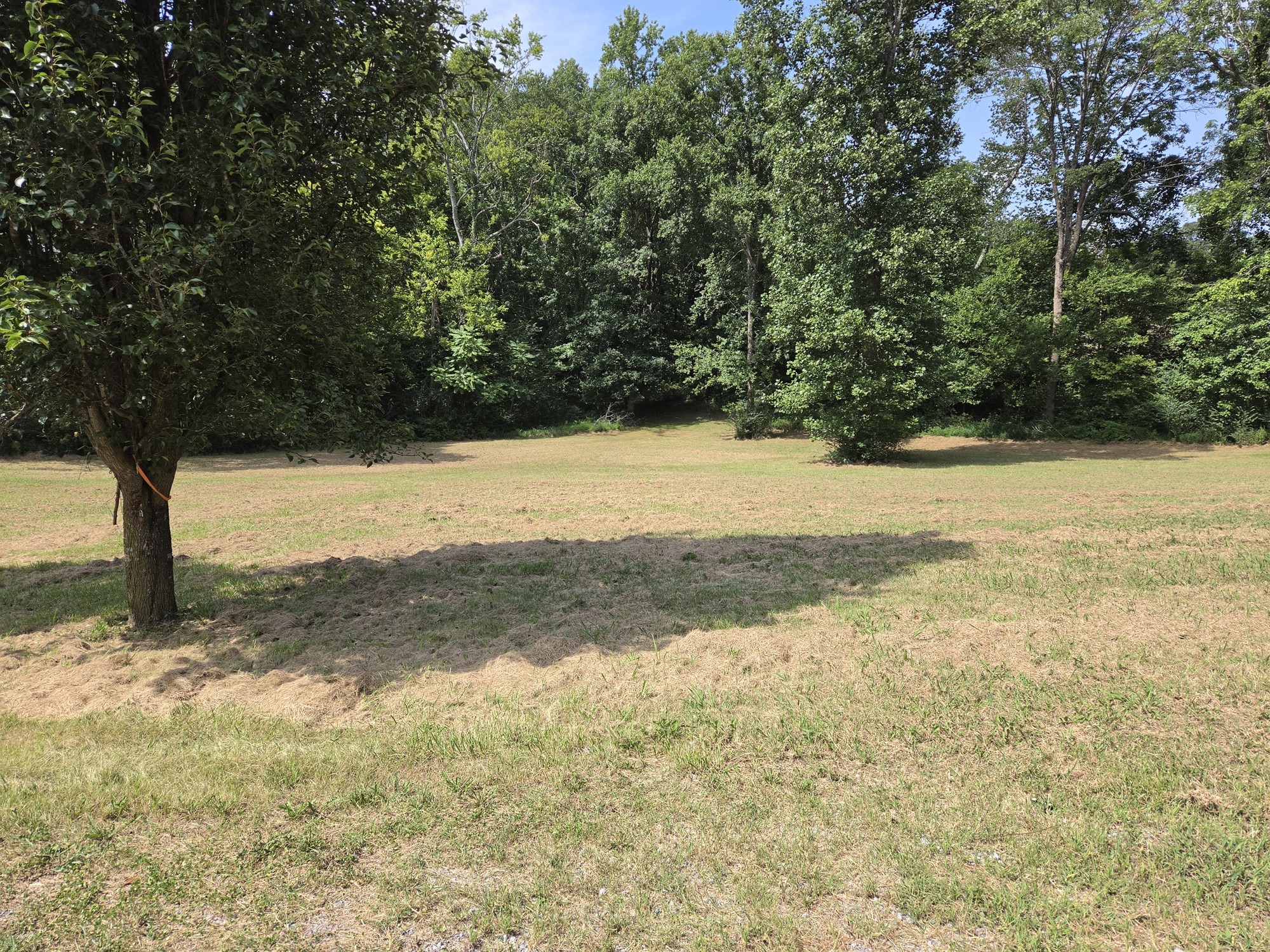 73 Patterson Rd Property Photo 3