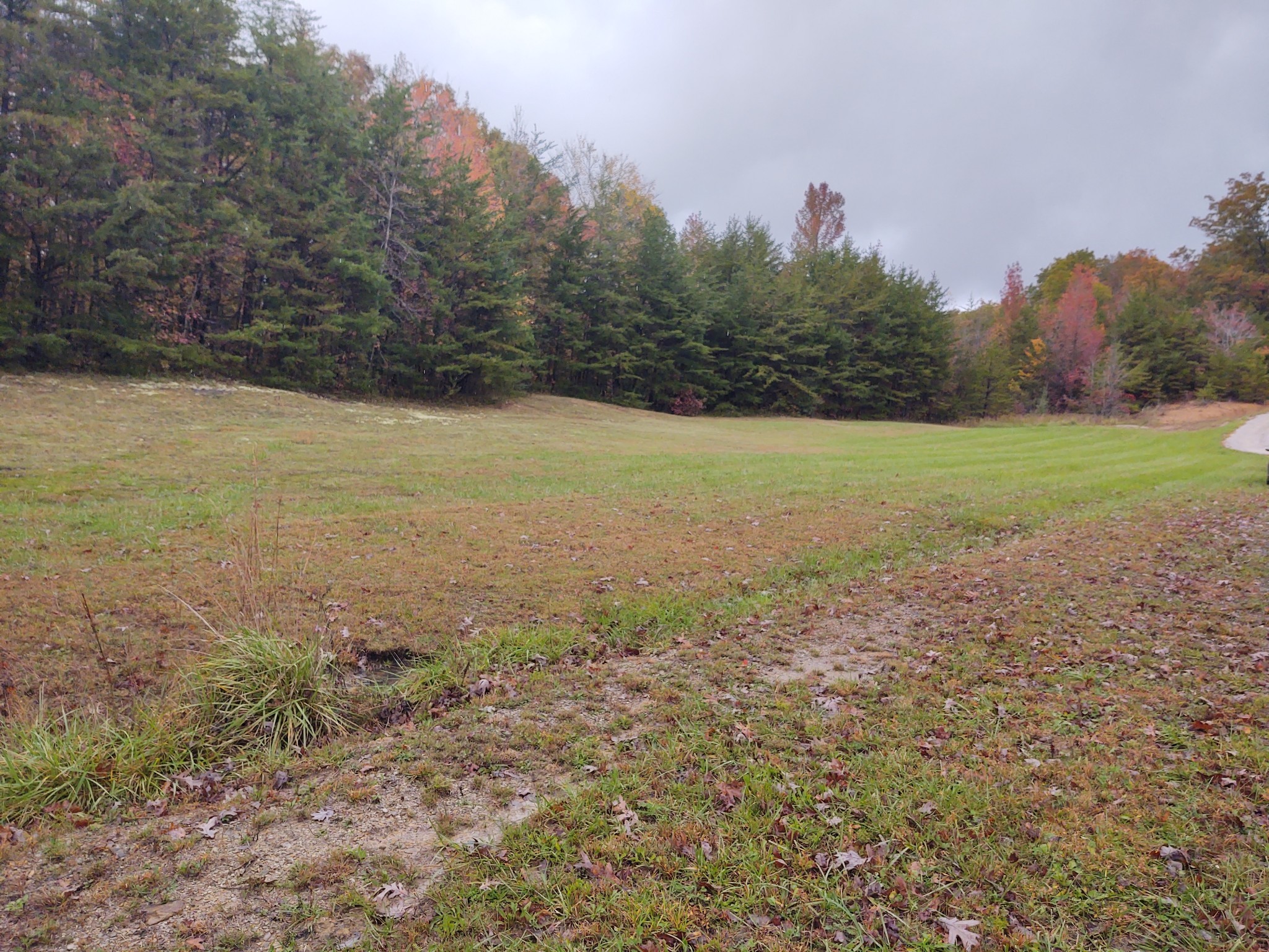 0 Ridge Road Property Photo 8