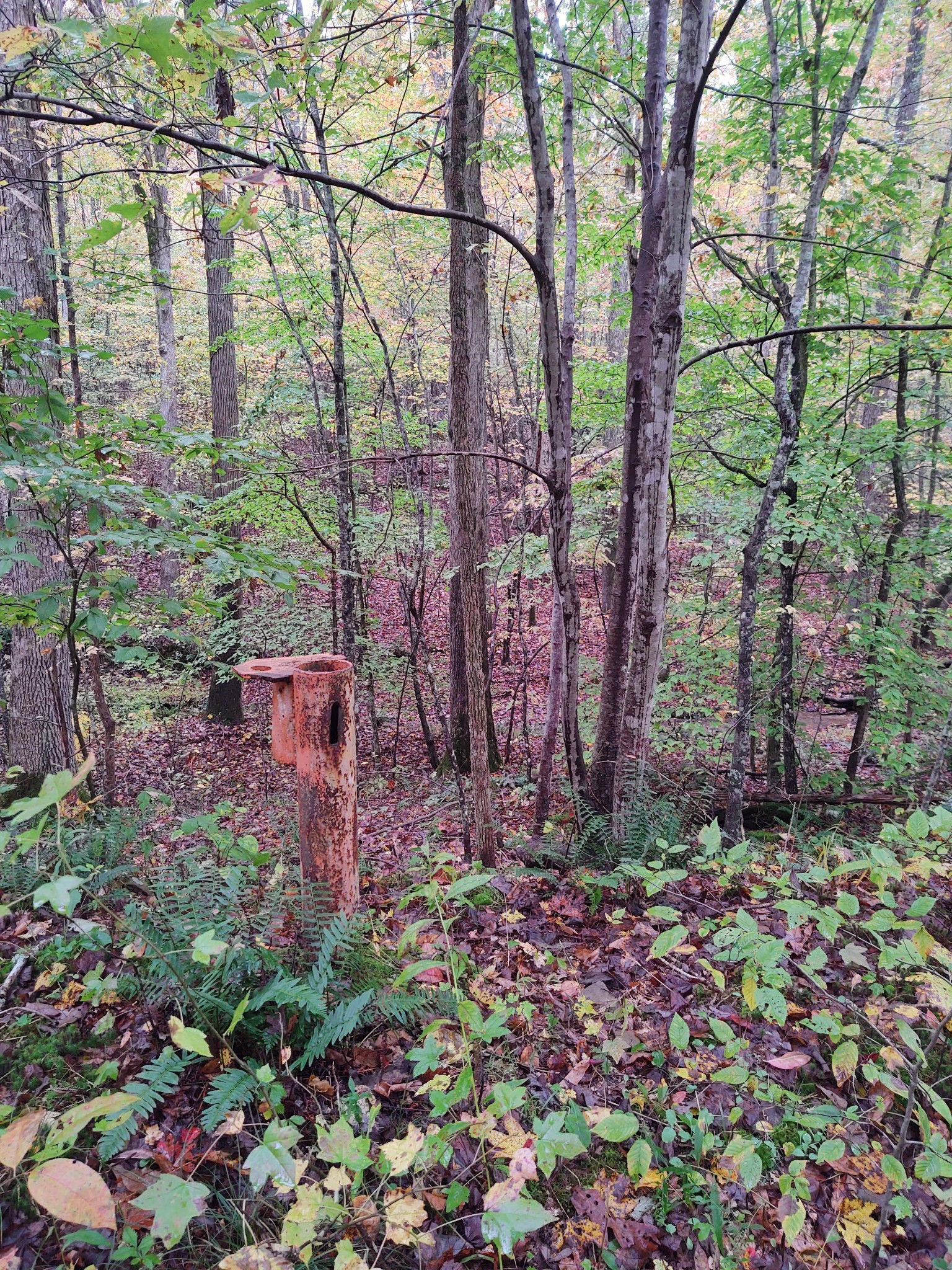 0 Ridge Road Property Photo 12