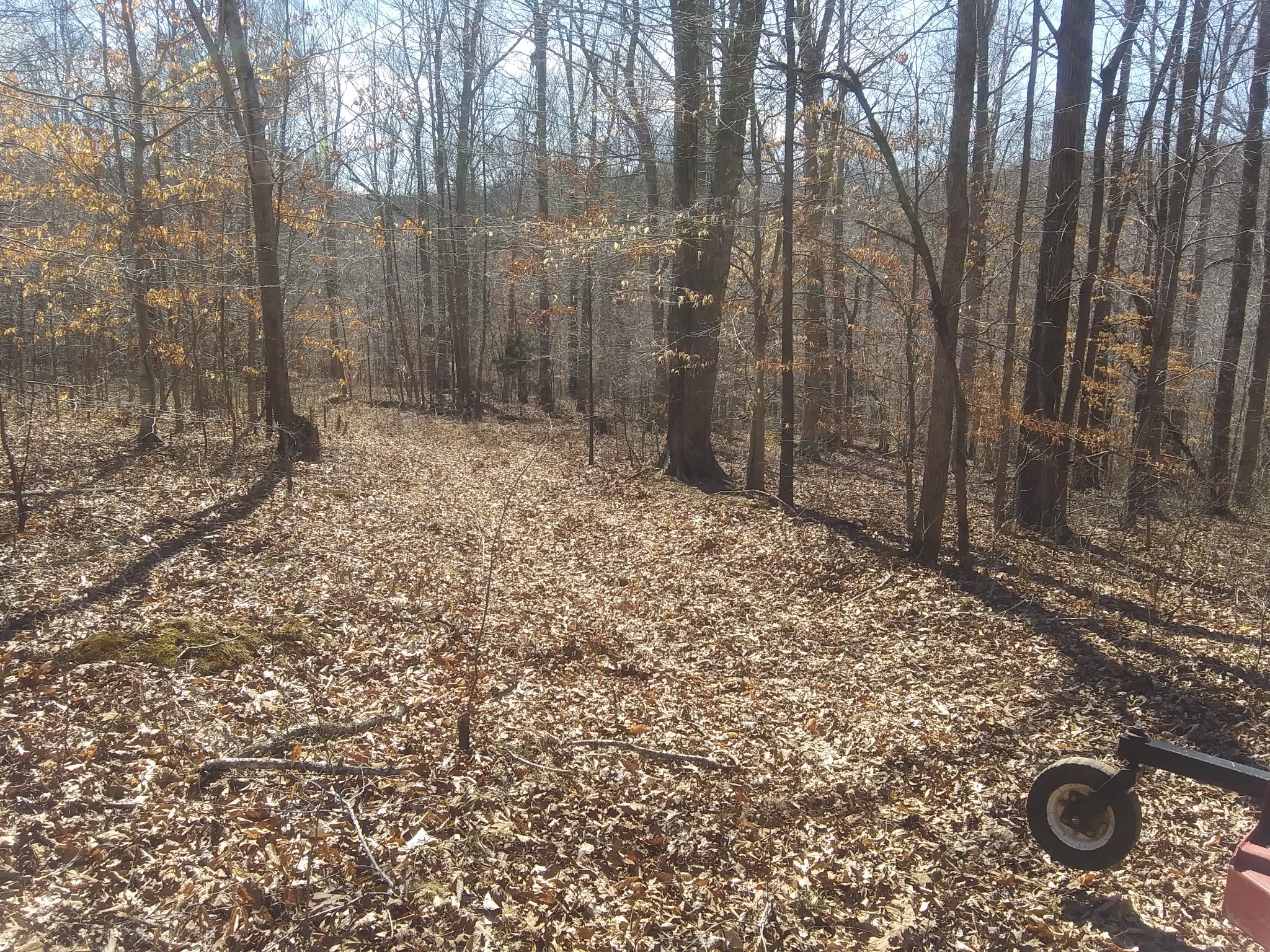 1071 Simms Heights Rd Property Photo 63