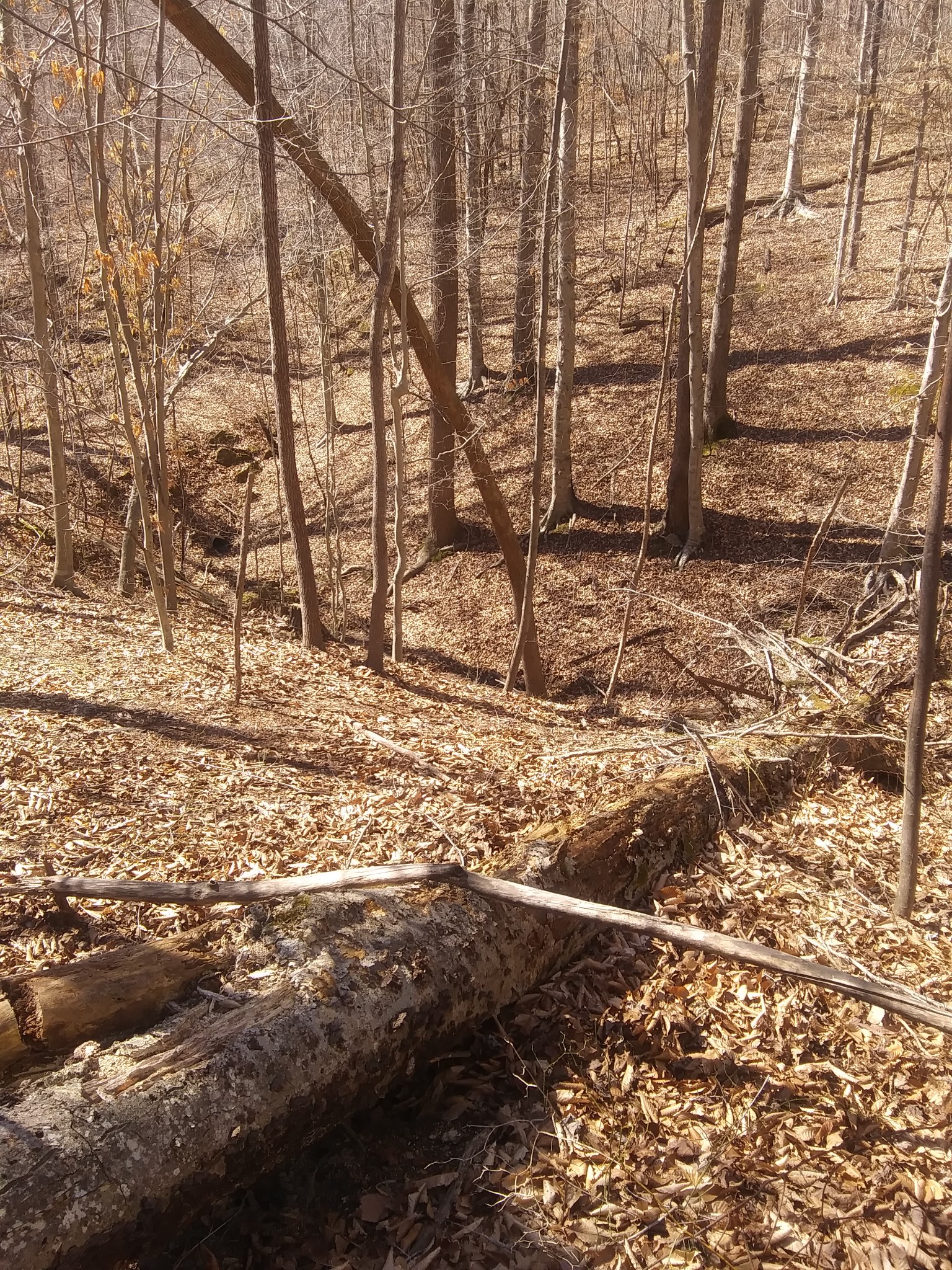 1071 Simms Heights Rd Property Photo 66