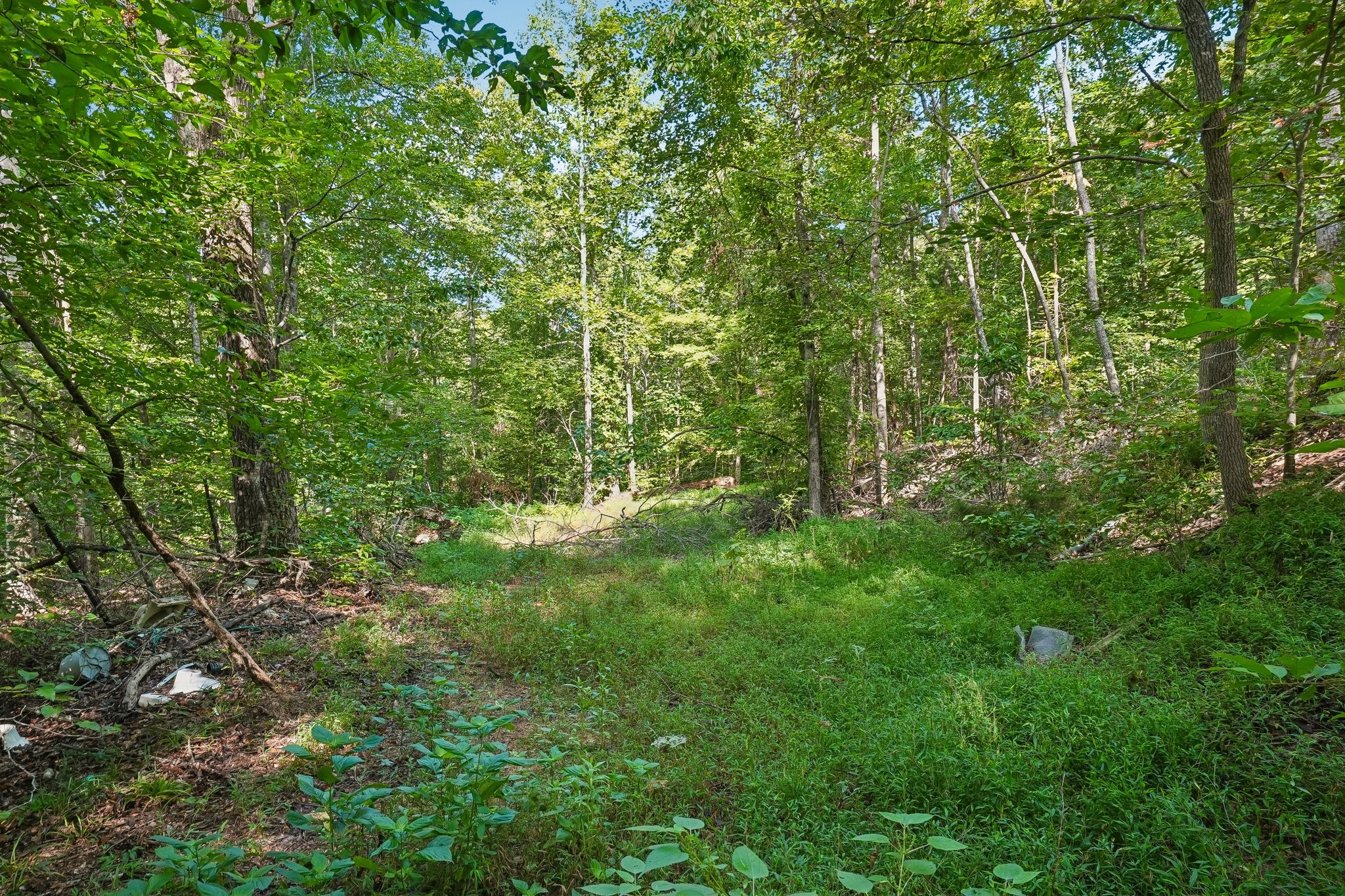 1071 Simms Heights Rd Property Photo 69