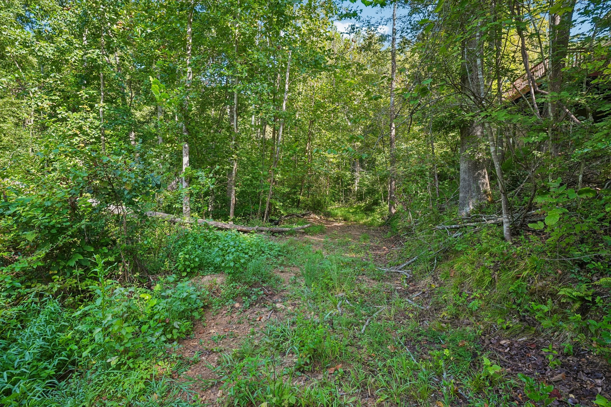 1071 Simms Heights Rd Property Photo 70