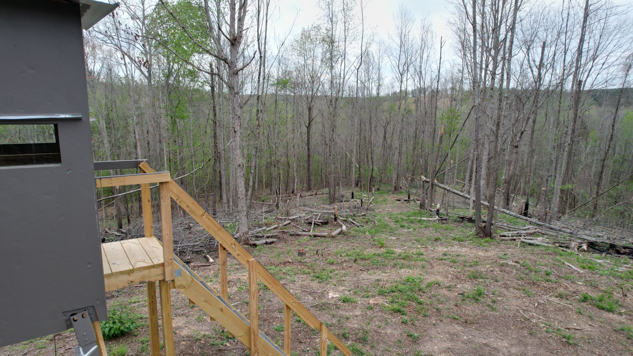 4424 Lane Spring Rd Property Photo 4