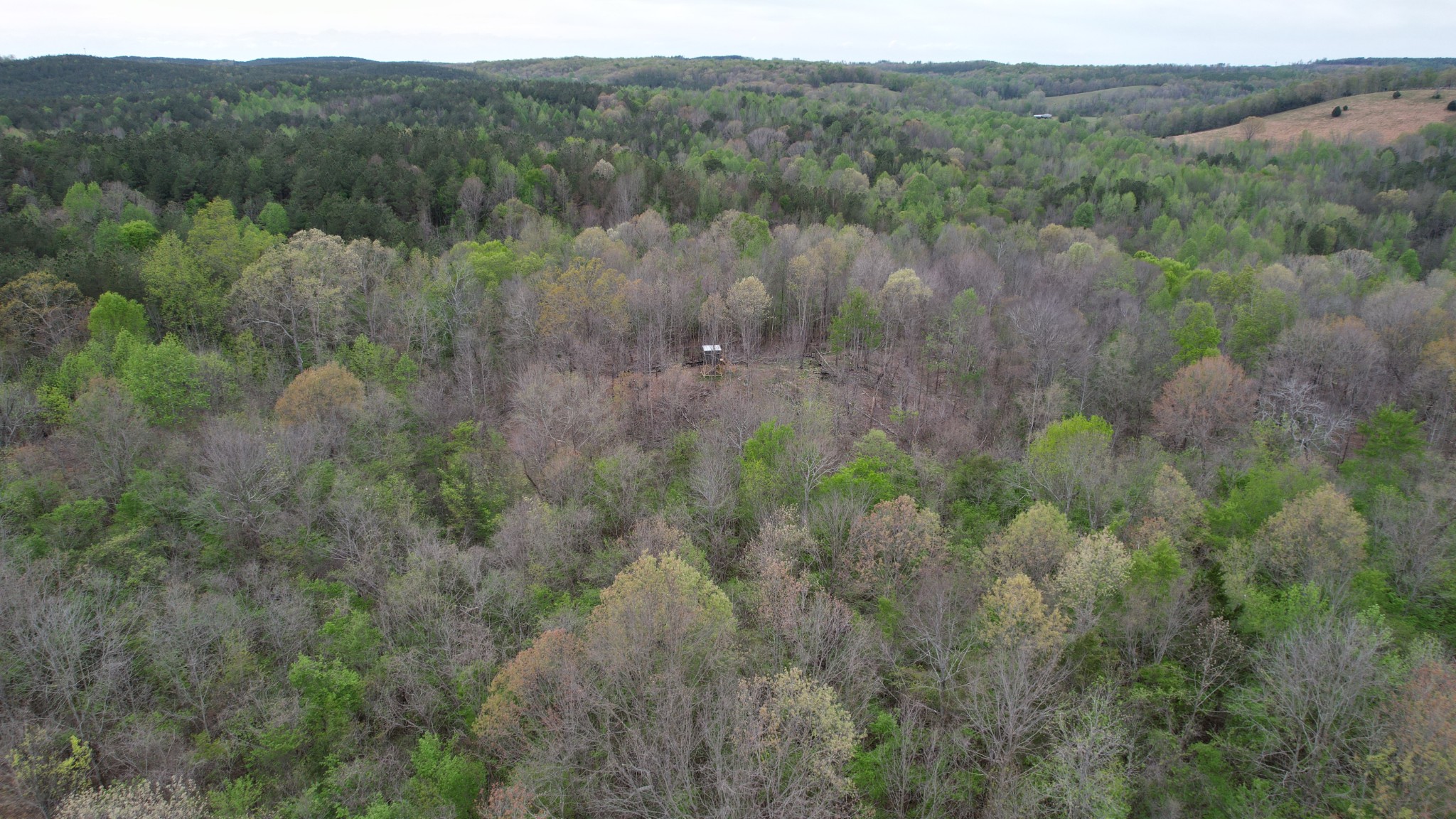 4424 Lane Spring Rd Property Photo 8