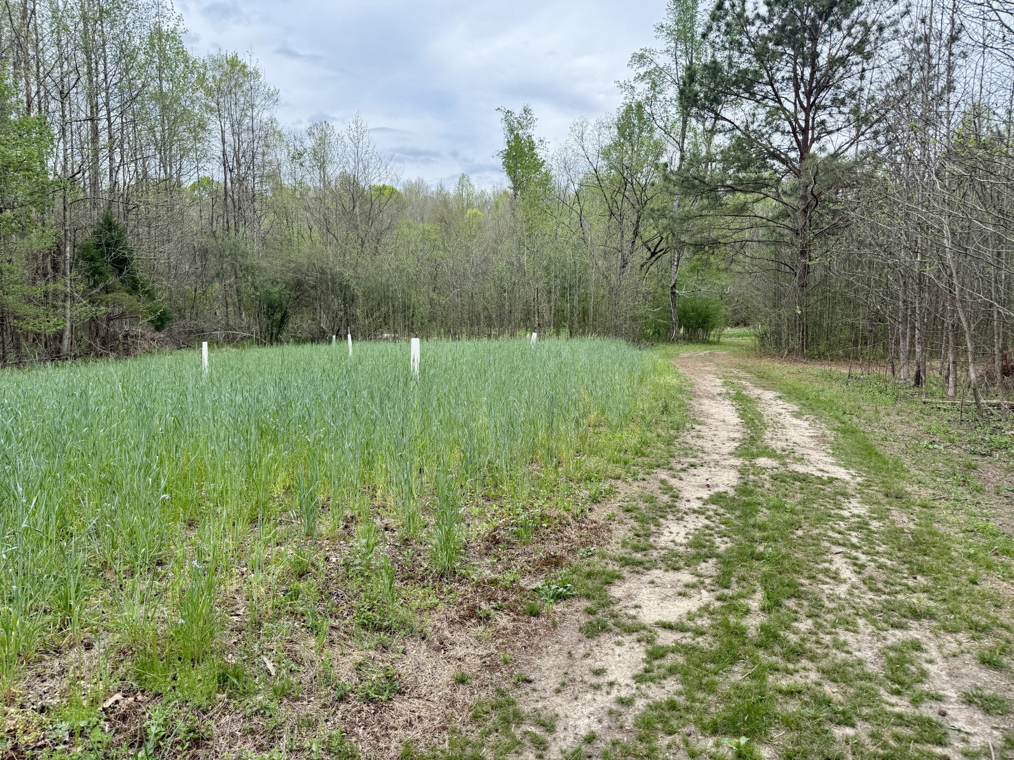 4424 Lane Spring Rd Property Photo 16