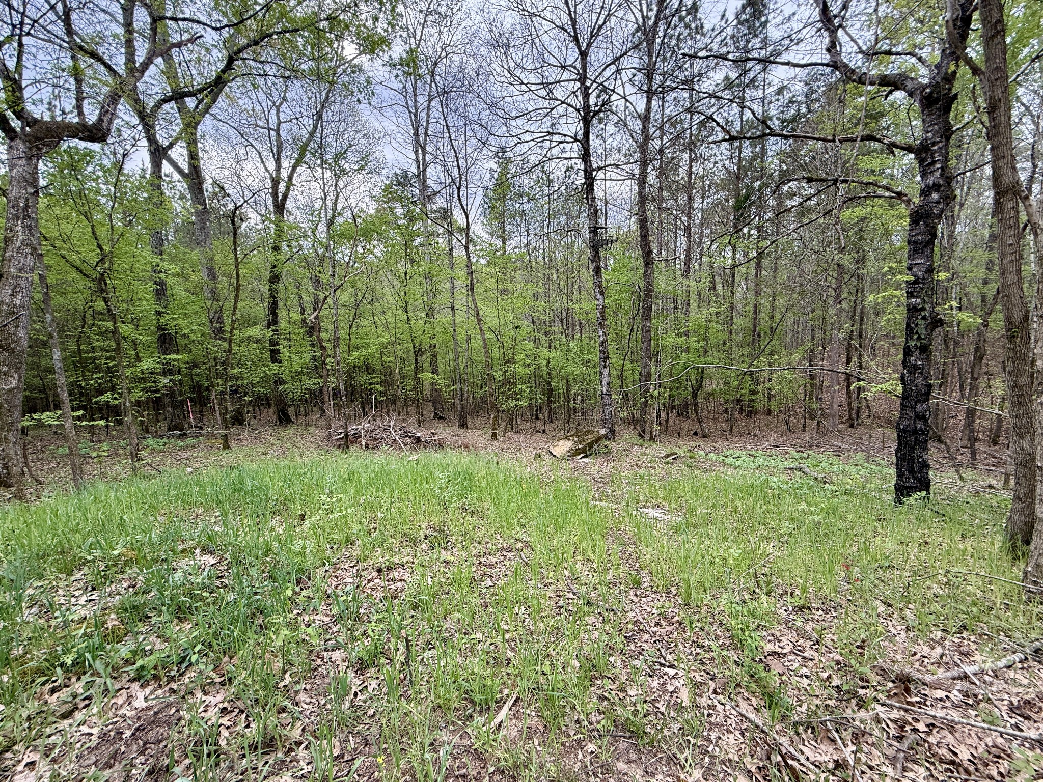 4424 Lane Spring Rd Property Photo 26