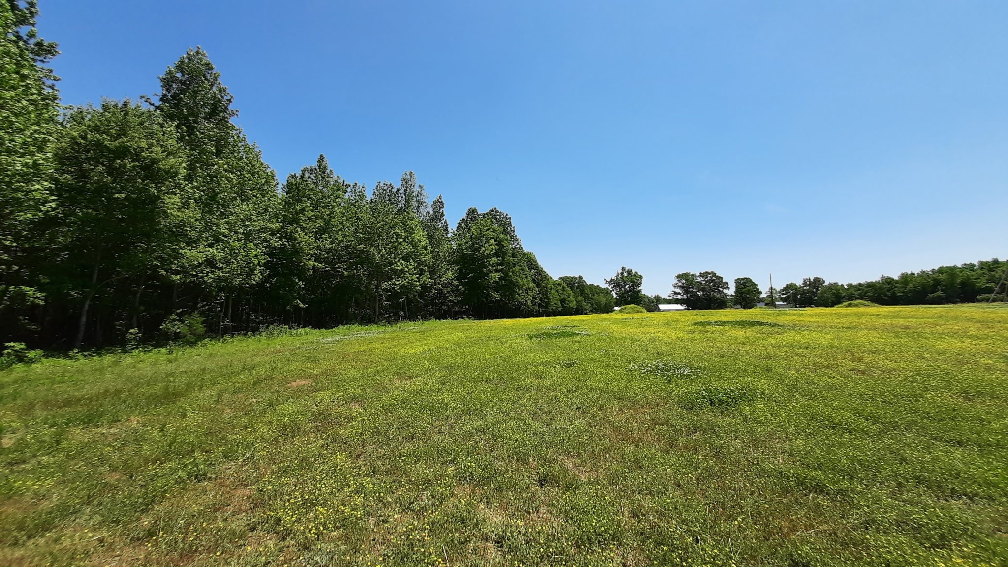 10 Lakewood Park Dr