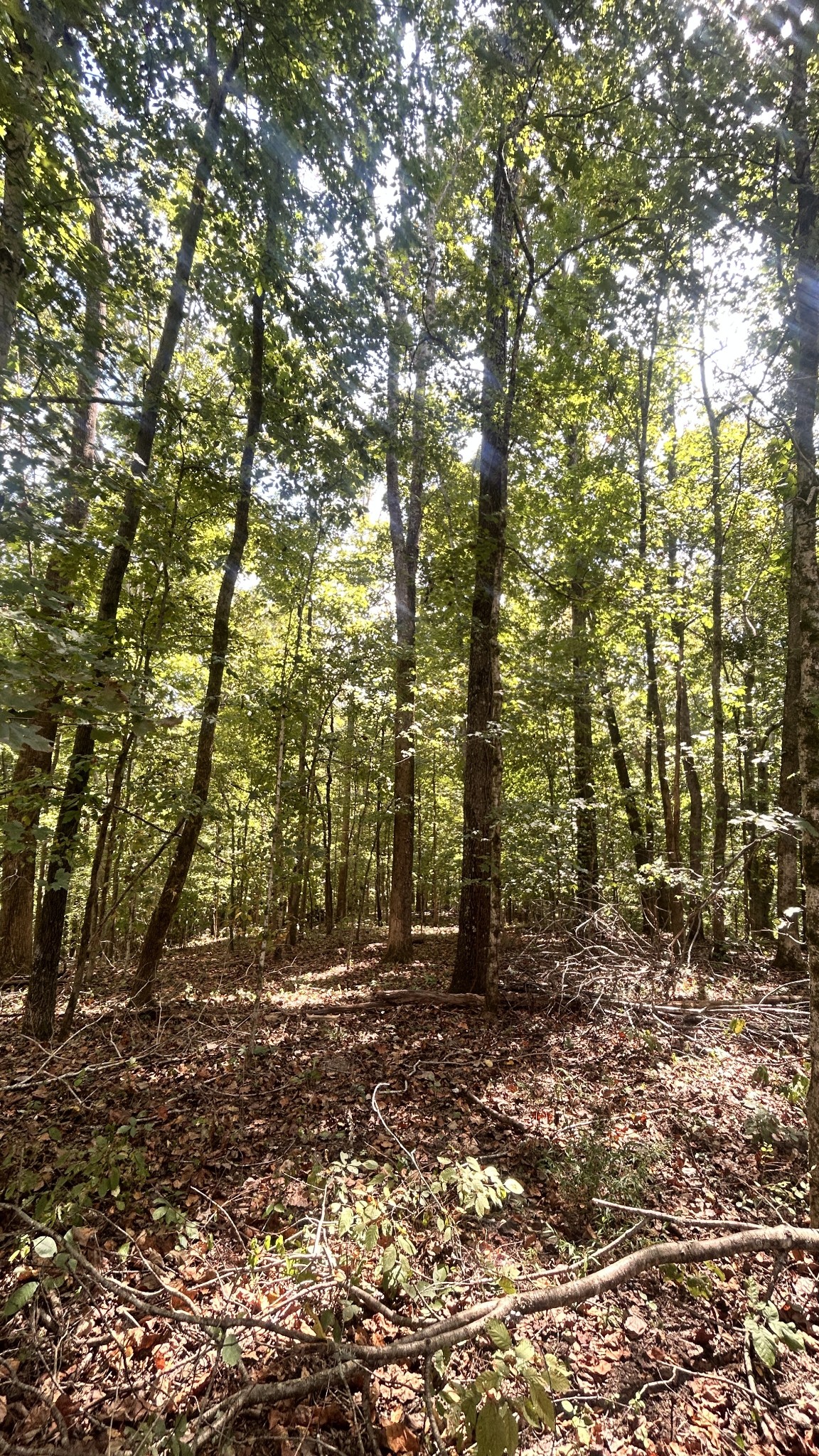 0 Hazel Property Photo 3
