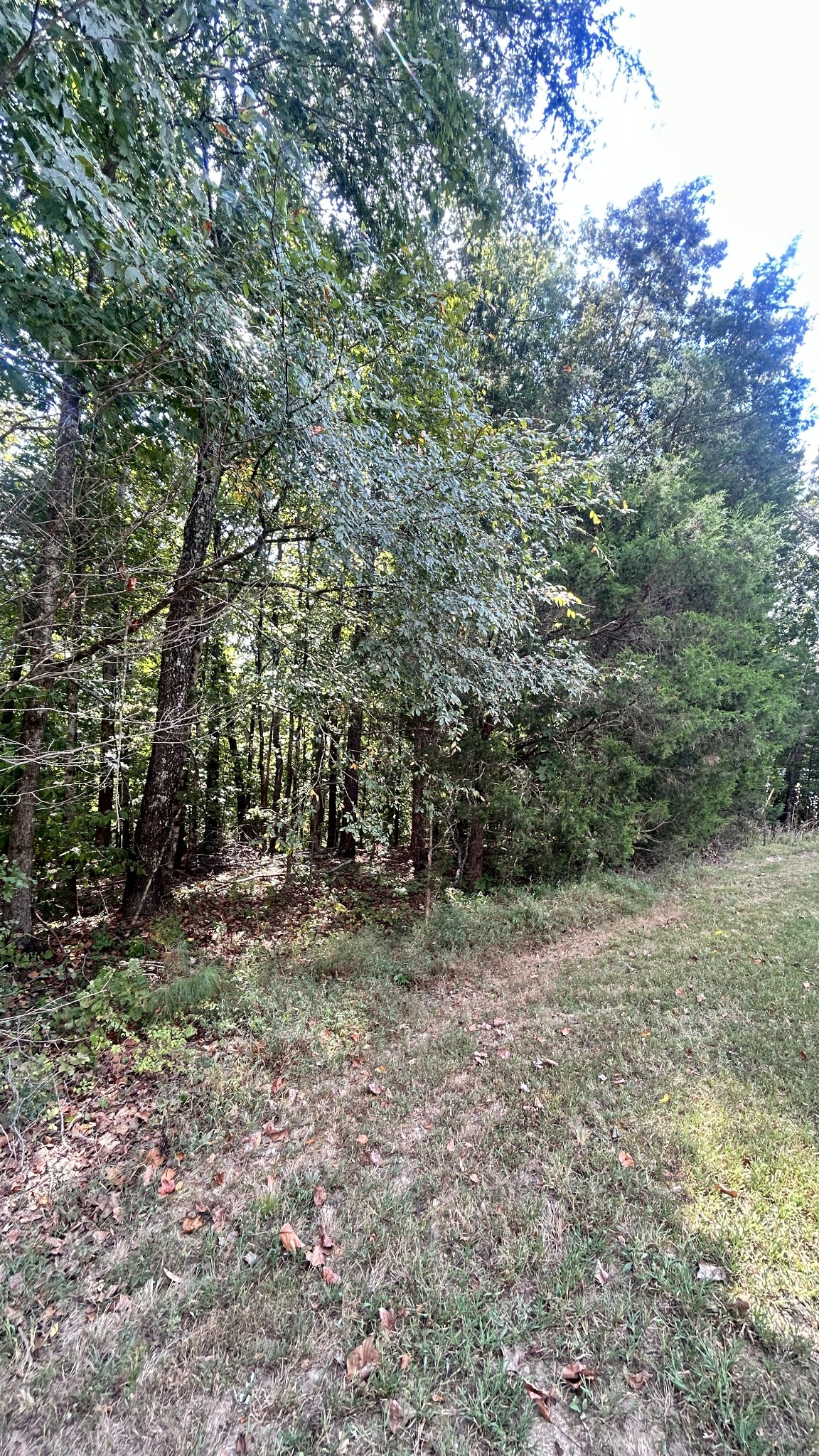 0 Hazel Property Photo 6