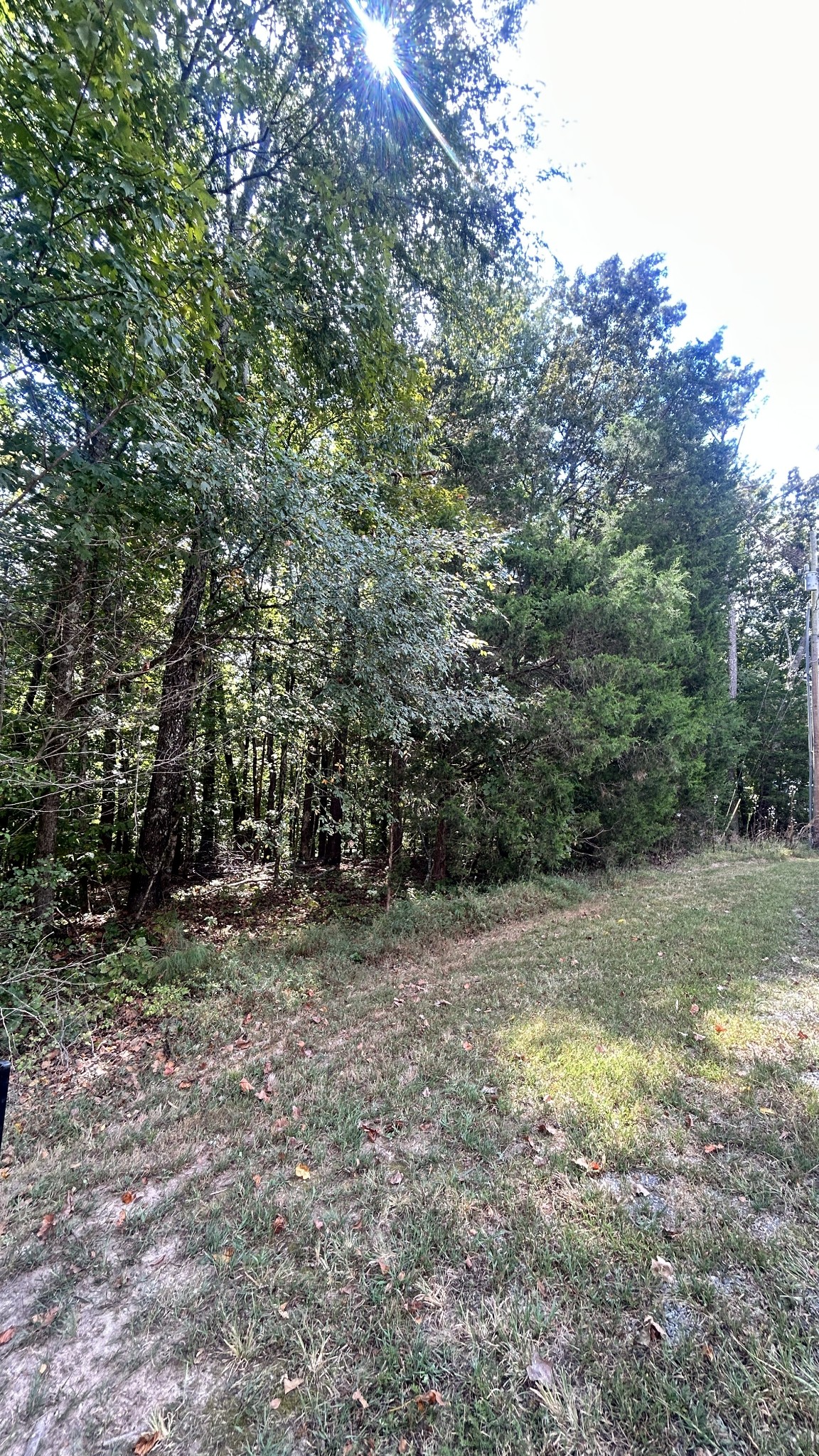 0 Hazel Property Photo 7