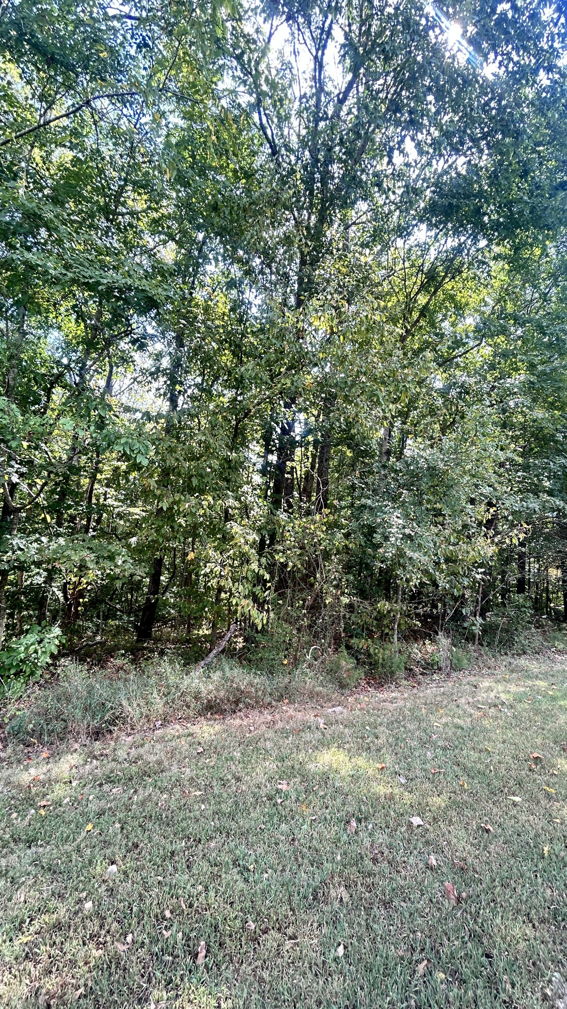 0 Hazel Property Photo 8