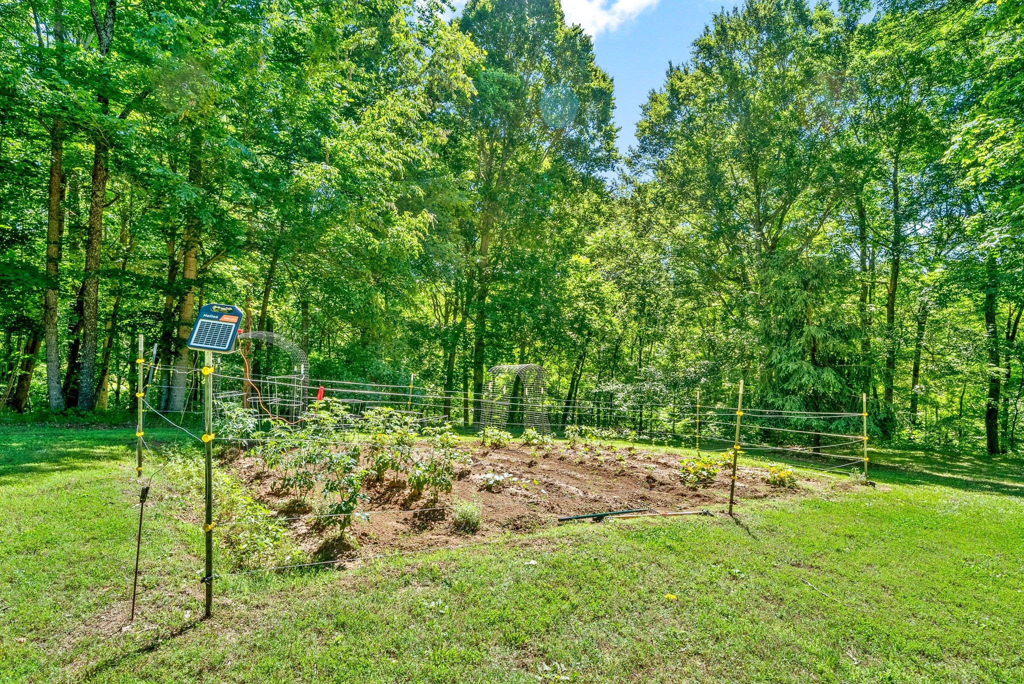 274 Yearling Trce Property Photo 63