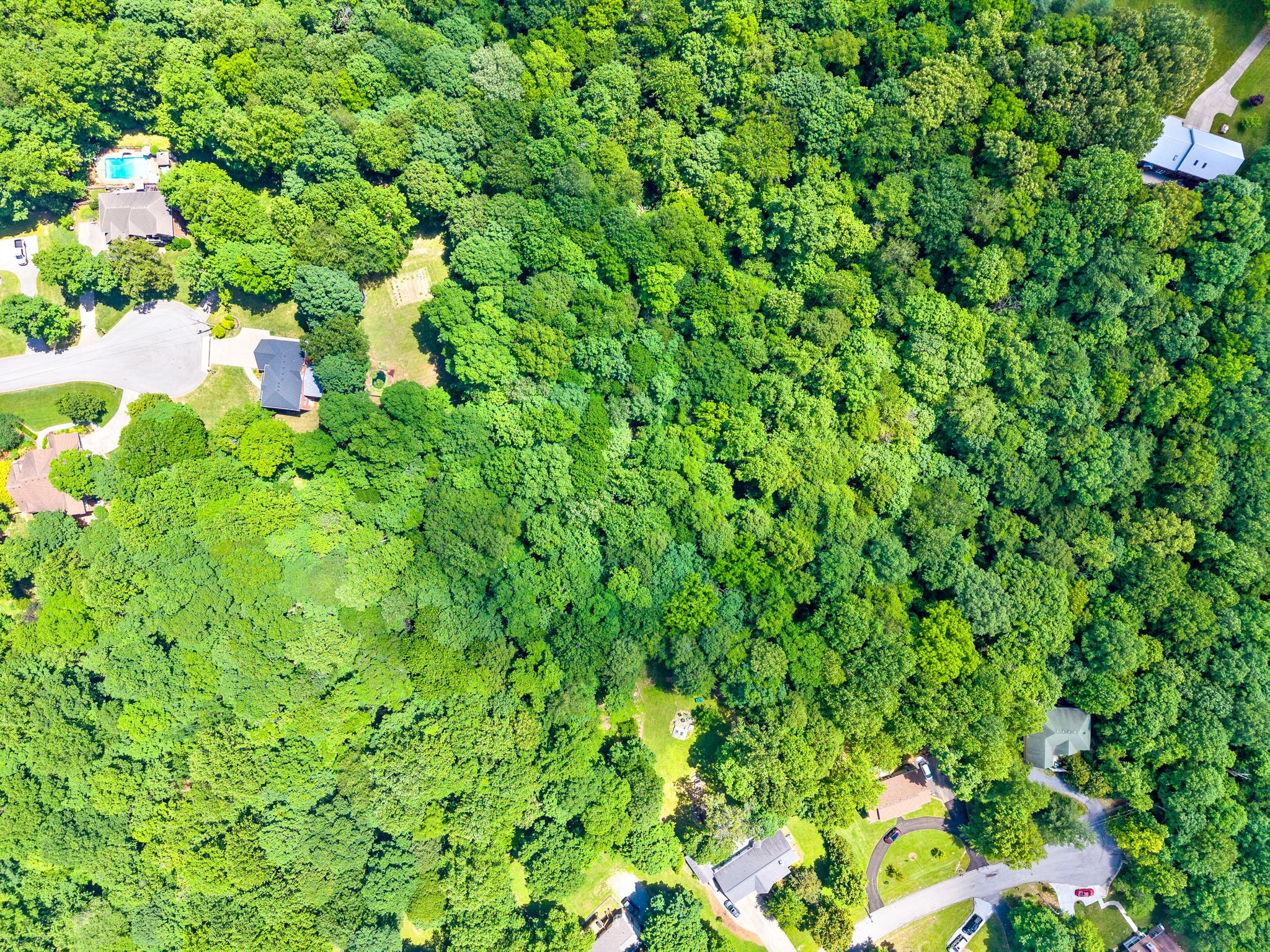 274 Yearling Trce Property Photo 68